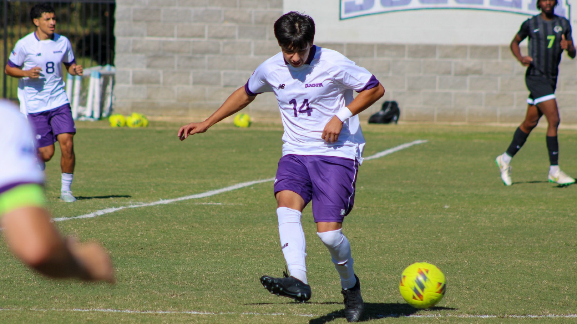 Andrew Castellanos vs Northeastern 