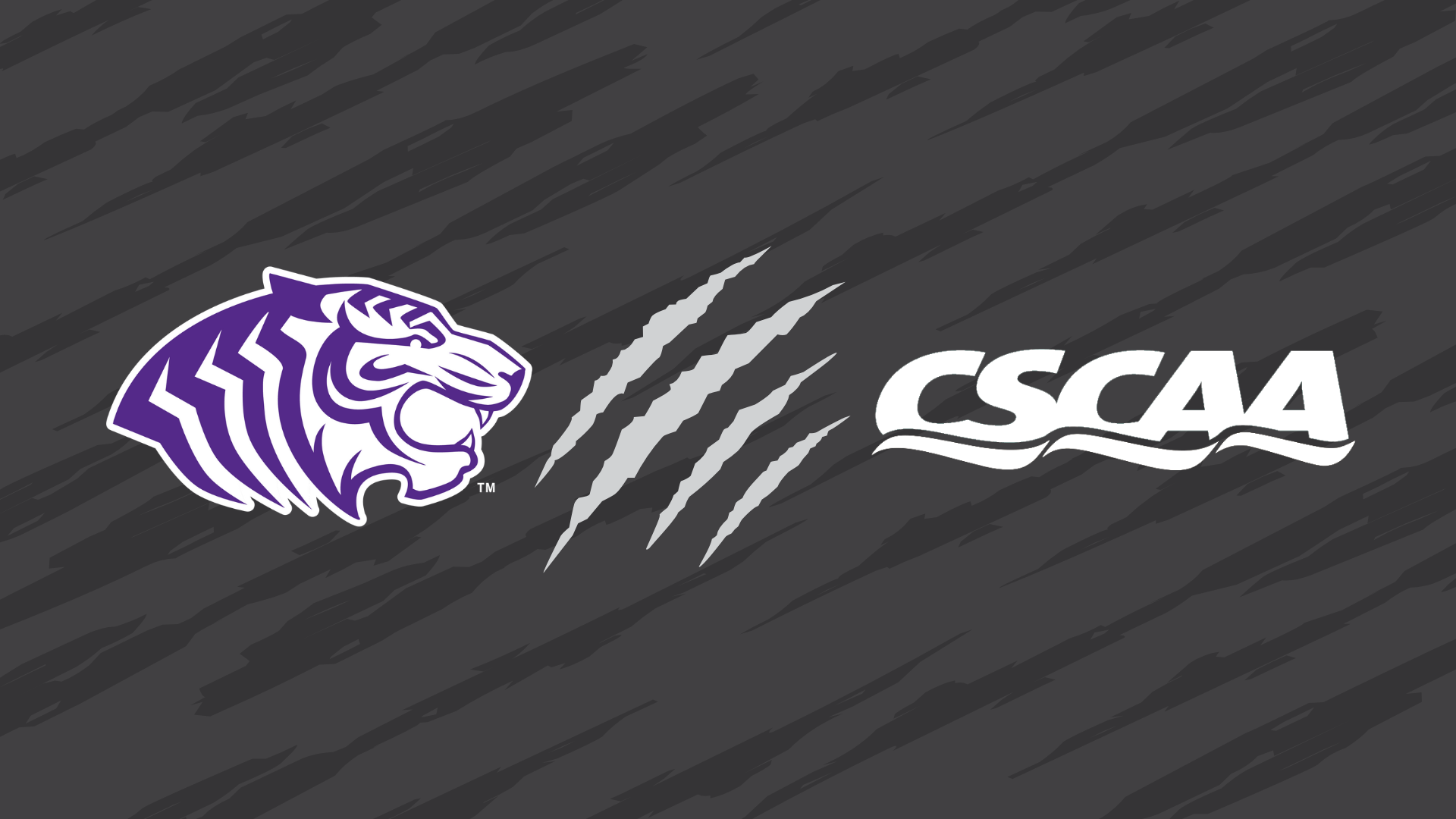 Tigers and CSCAA