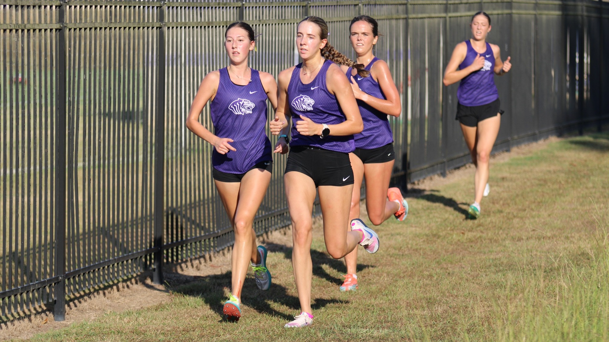 WXC