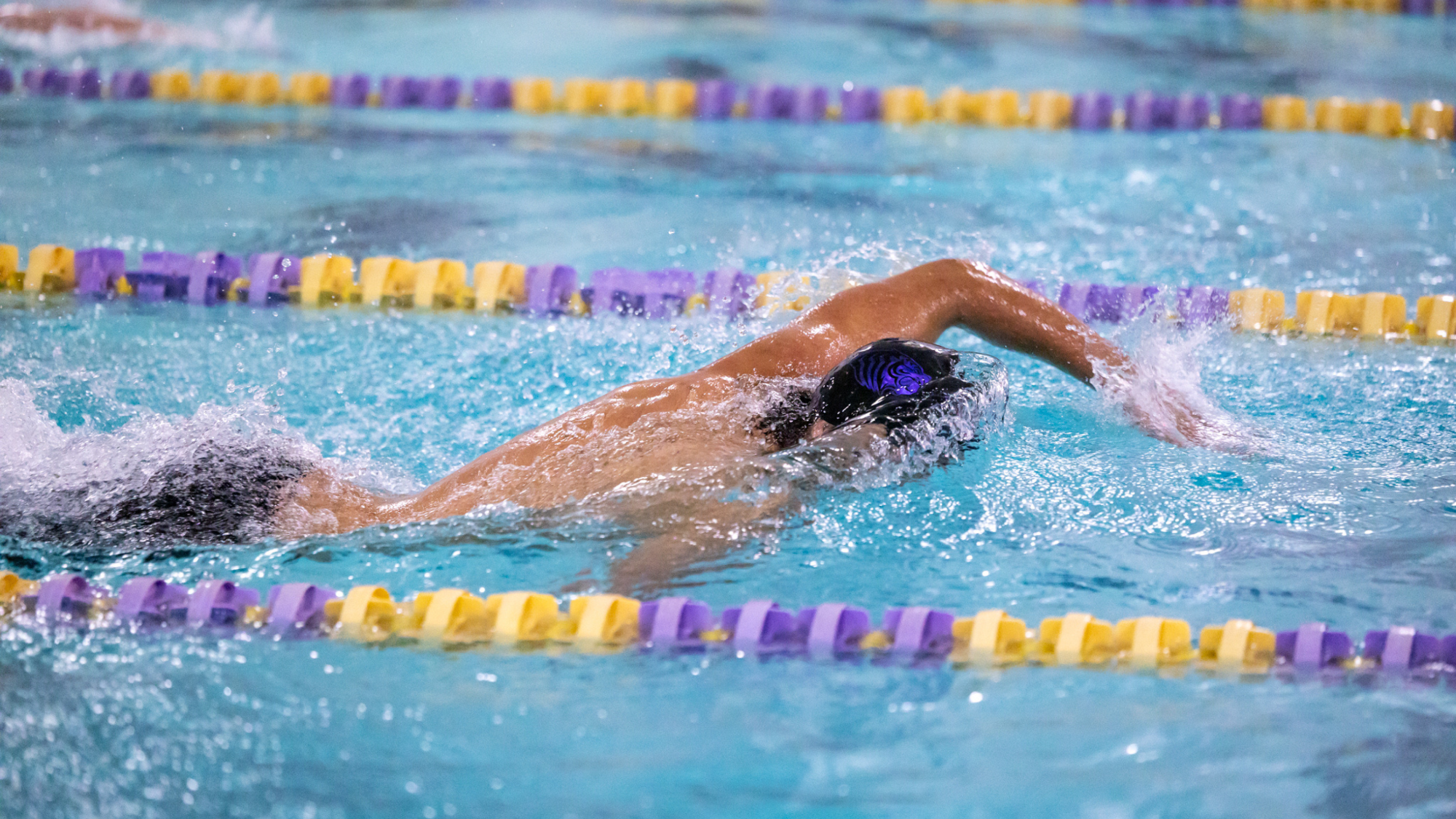 Mens swimmer vs HSU 2026