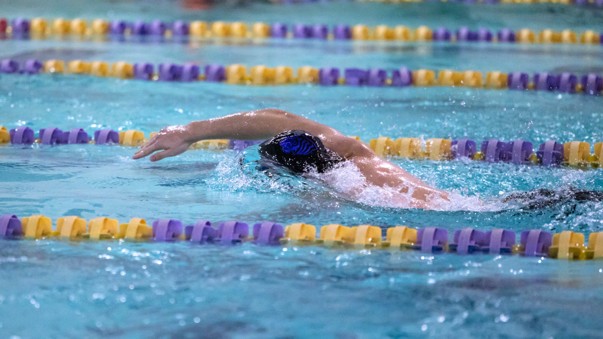 Men's swimmer vs HSU 2026