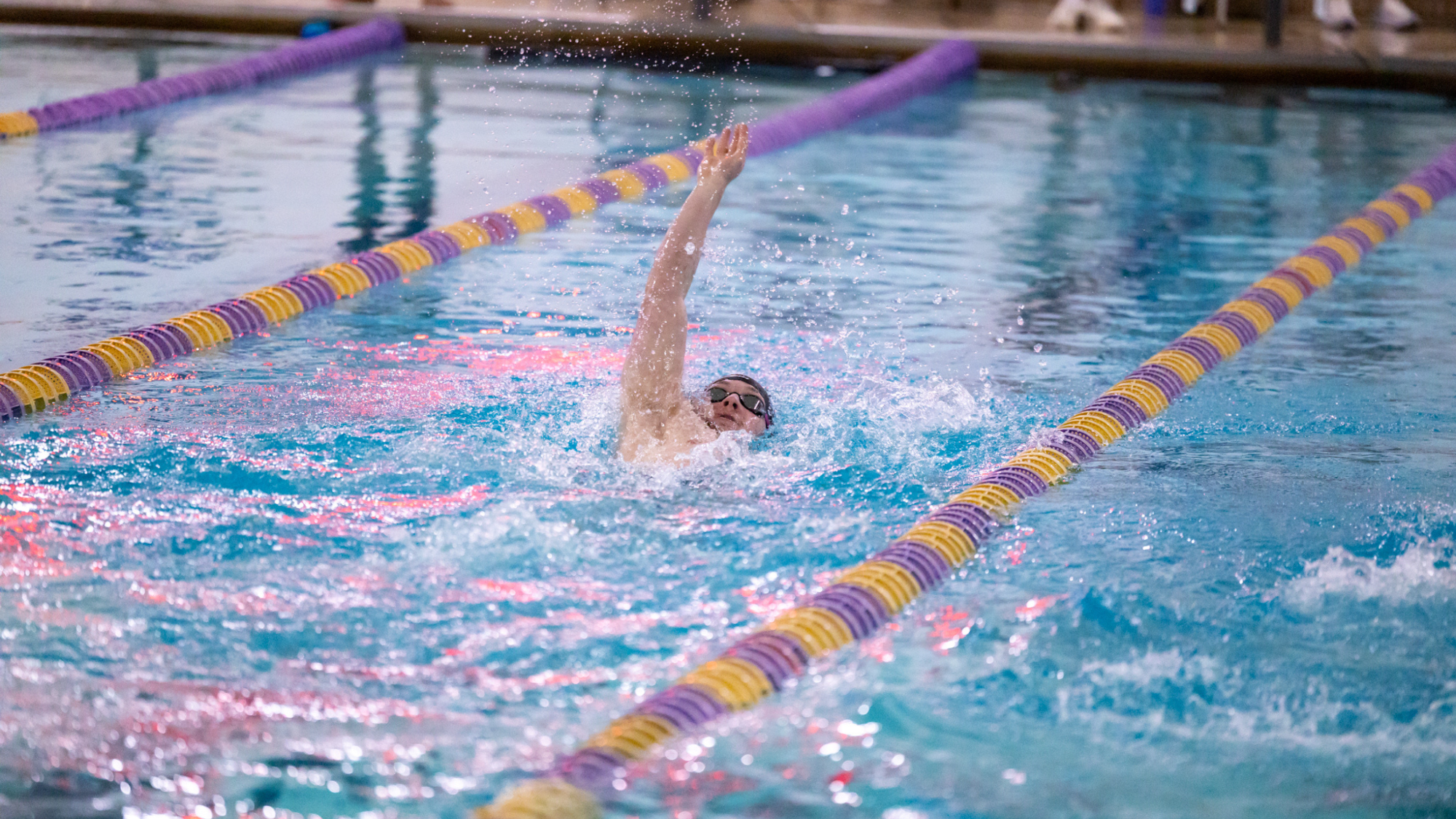 Men's backstroke vs HSU 2026