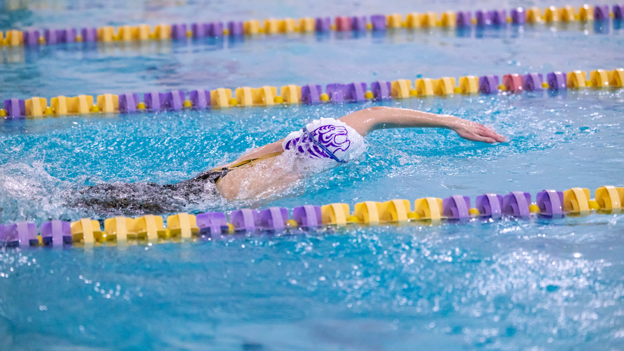 Women's Swimmer vs HSU 2026