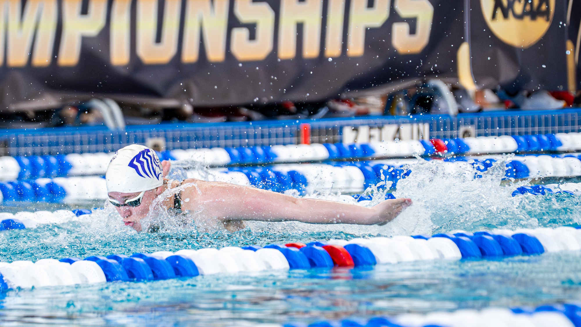 Anna Phelps butterfly at 2026 nationals