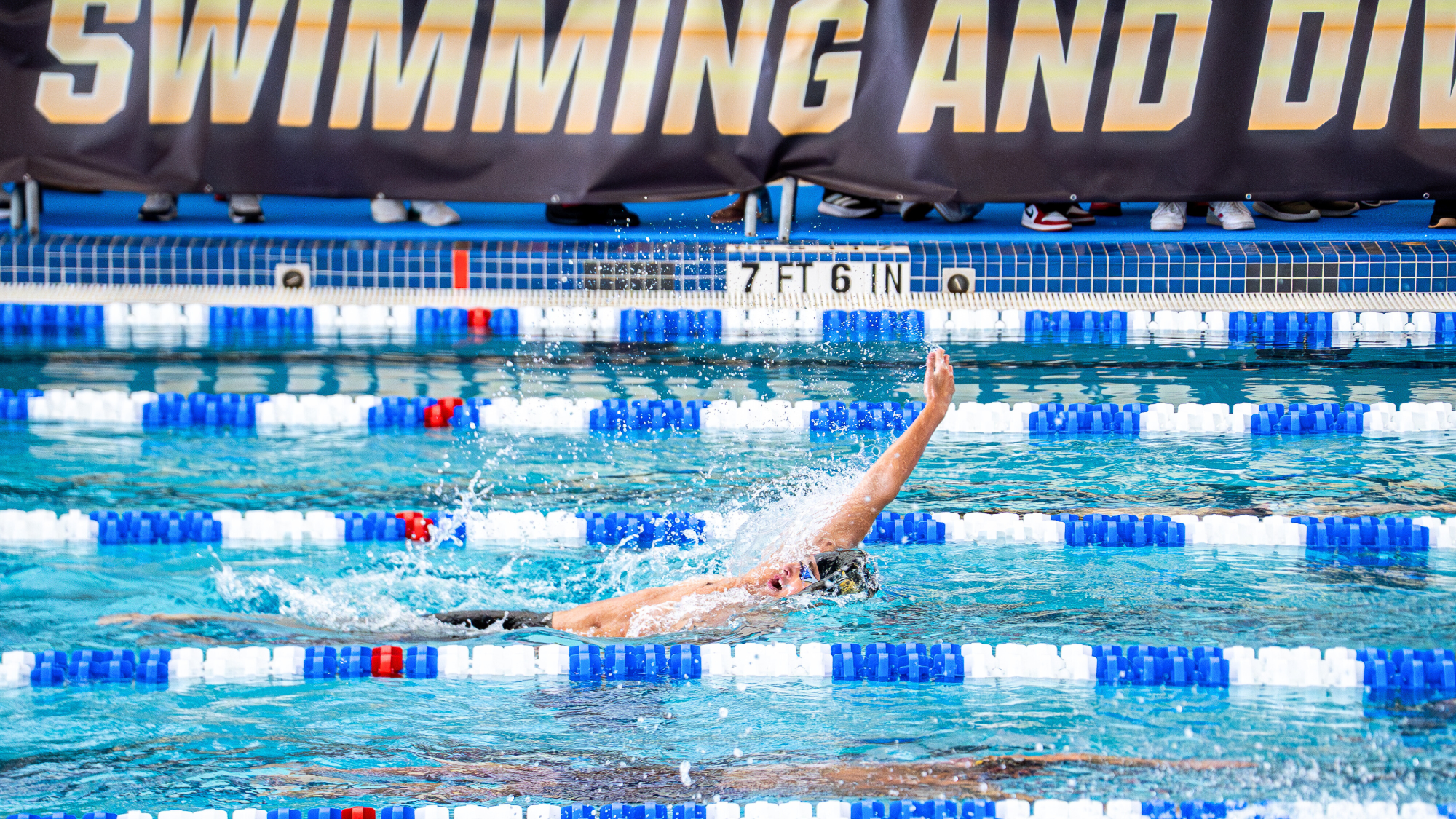 Stefan Duca backstroke at 2026 nationals