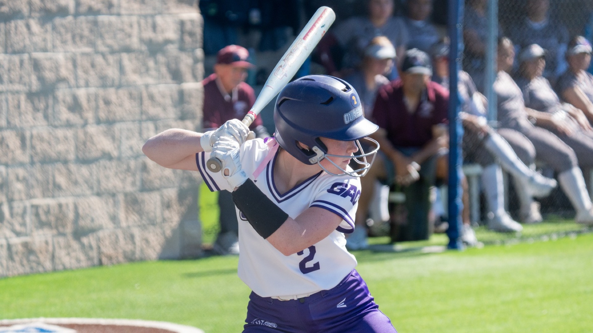 Addison Davidson batting vs TAMI