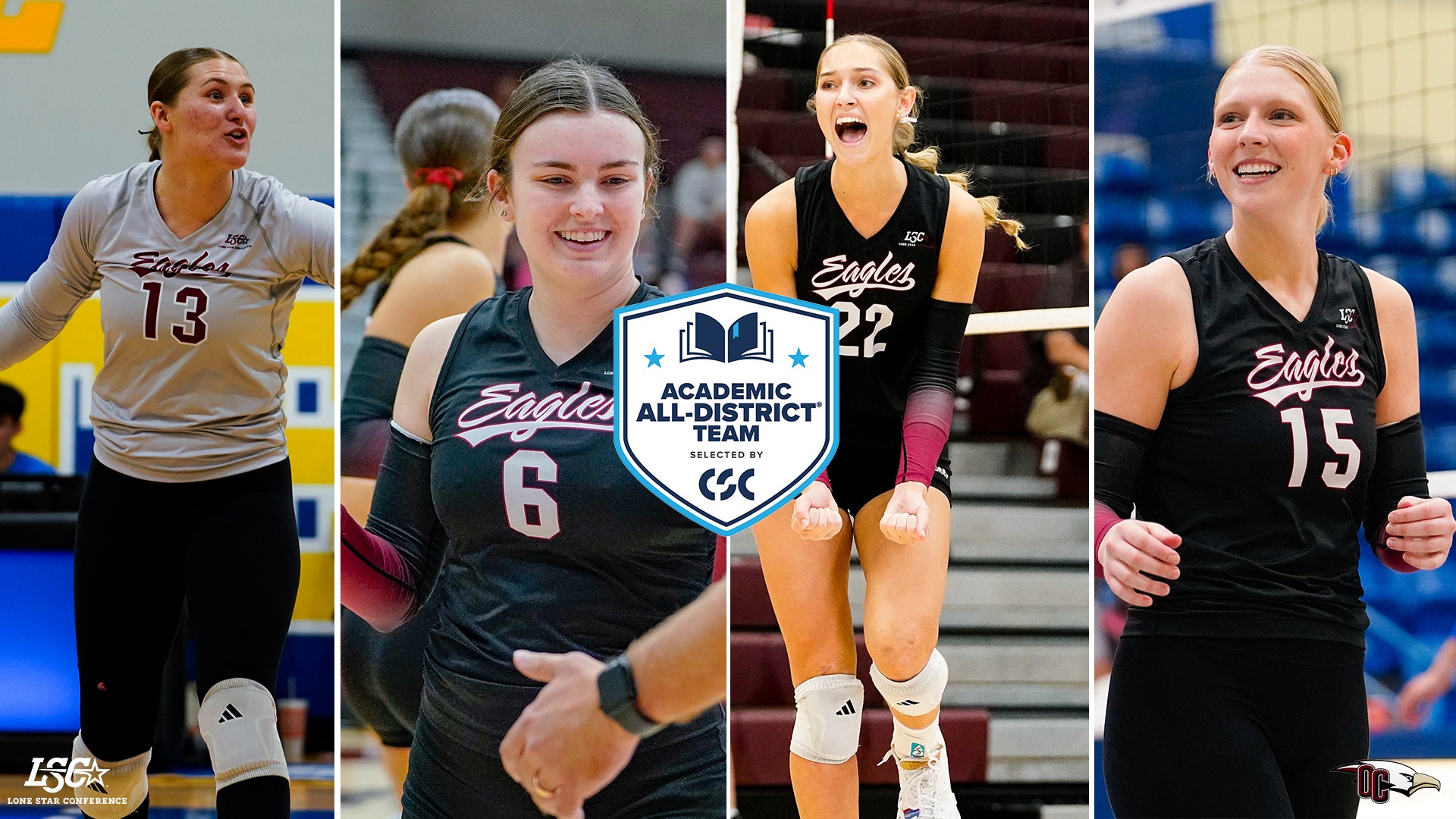 2025 OC WVB CSC AAD Graphic