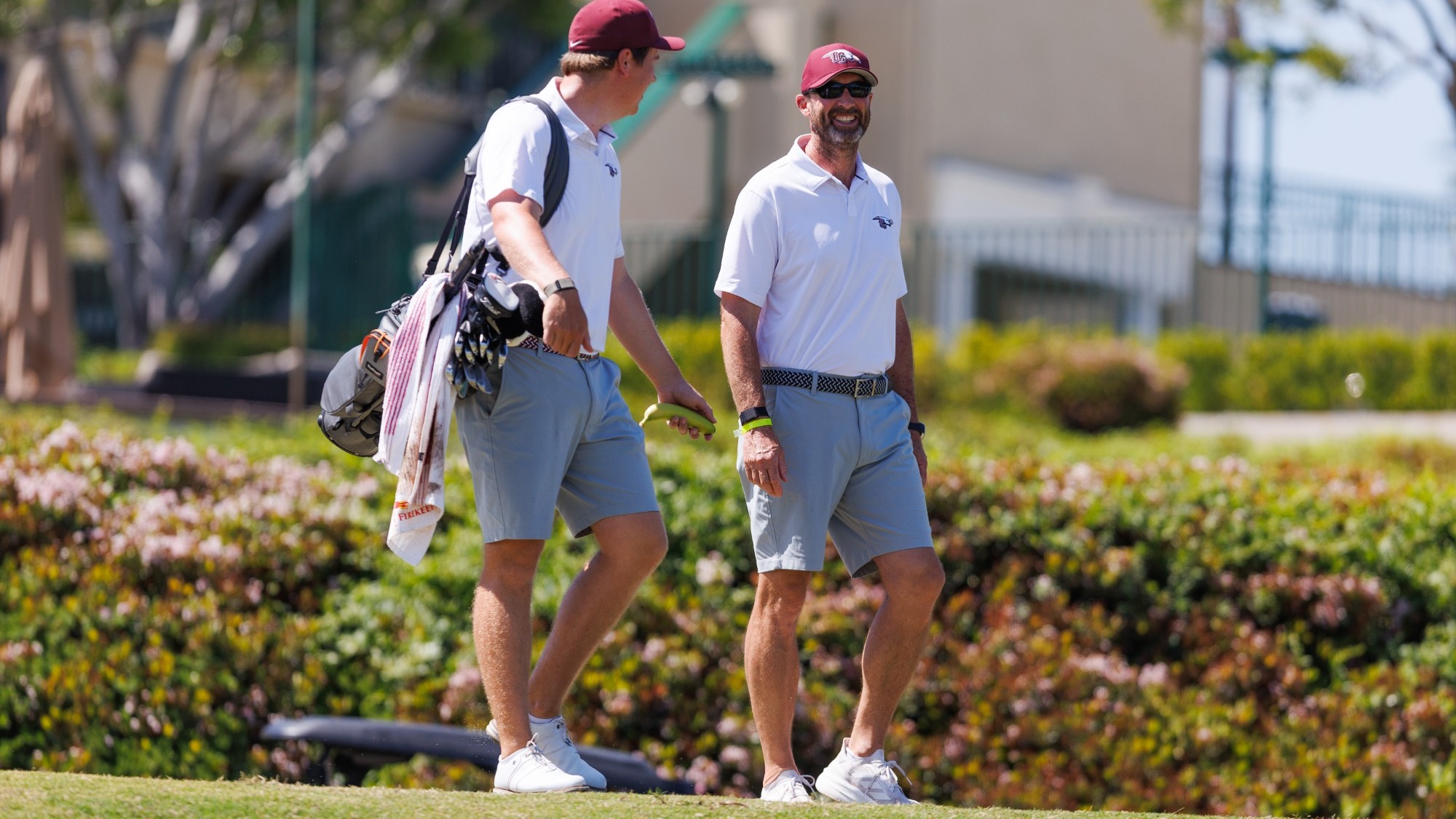 “Two men in white polos, gray shorts, and maroon caps walk across a golf course, smiling and chatting. One carries a golf bag with a towel draped over it and holds a banana. Green shrubs and pink flowers fill the background.”