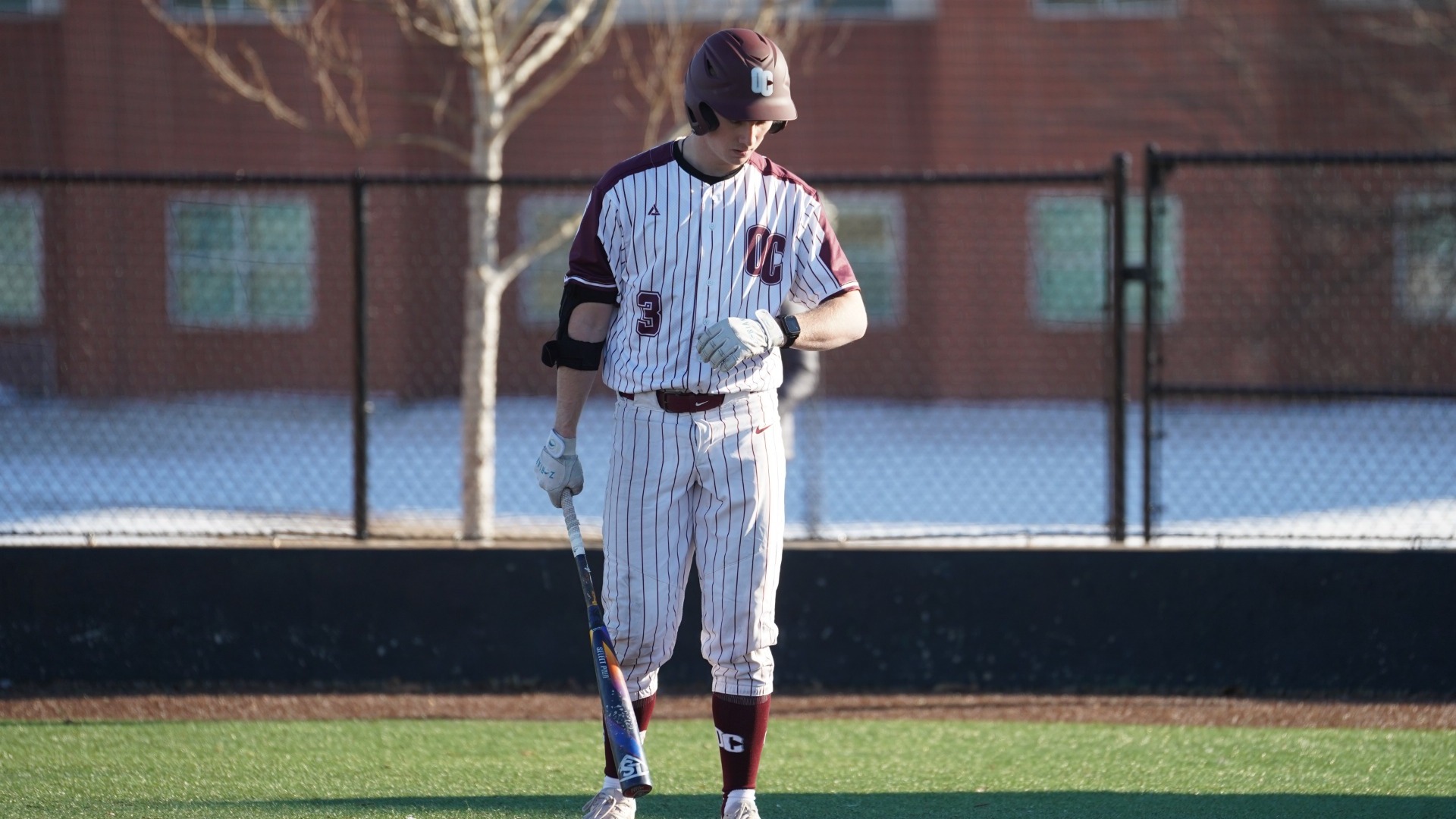 Heiselbetz at the plate