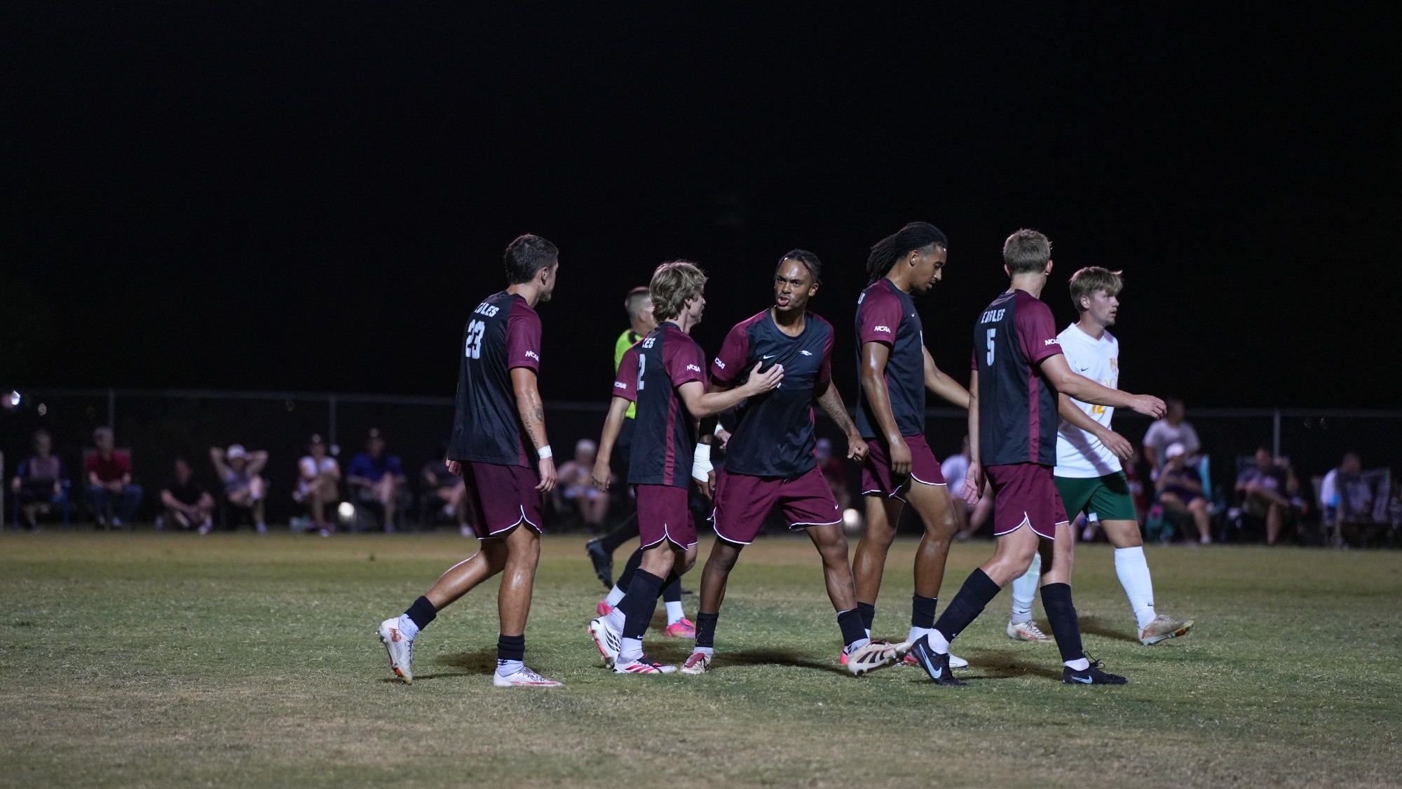 Eagles Celebrate goal with each other