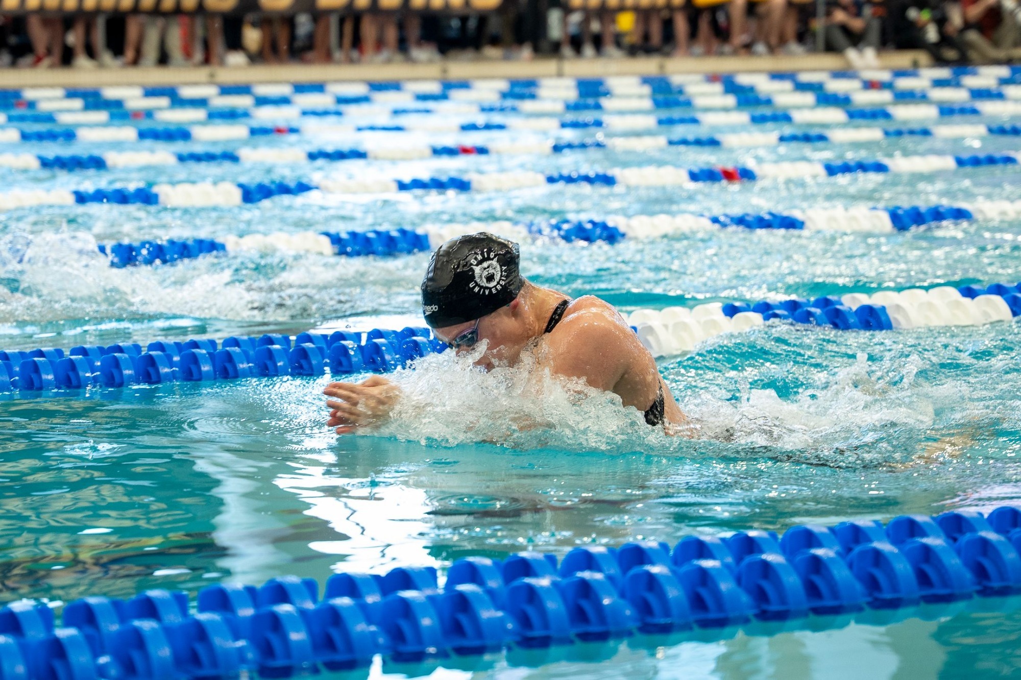 Womens Swim and Dive 