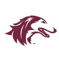 Opponent Logo