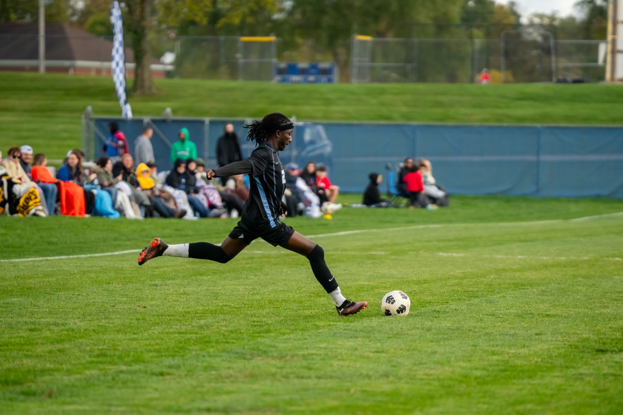 Eliel - article photo