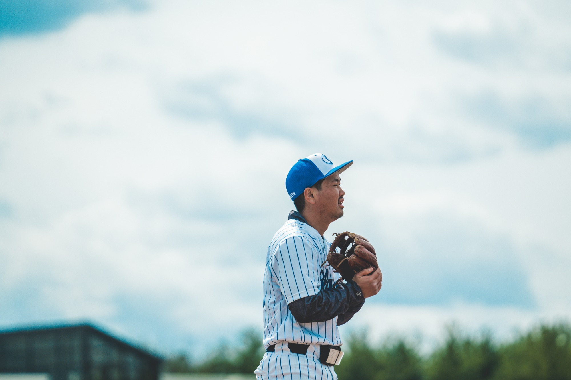 Ritz - article photo