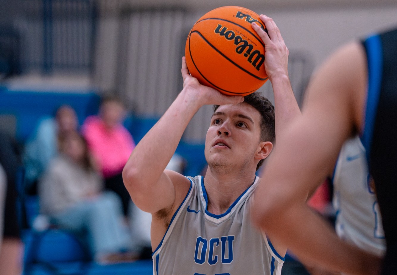 Sammy - article photo