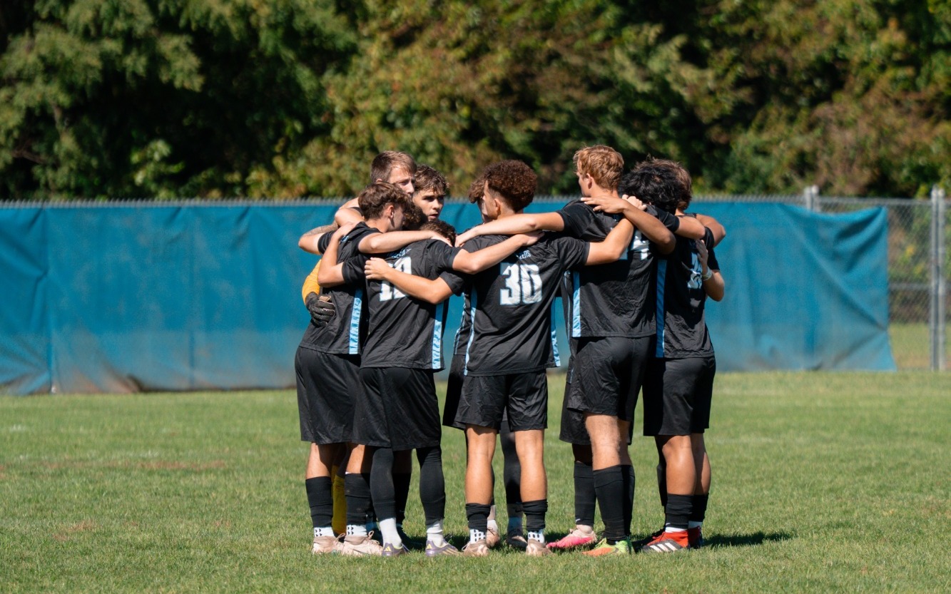 Team - article photo