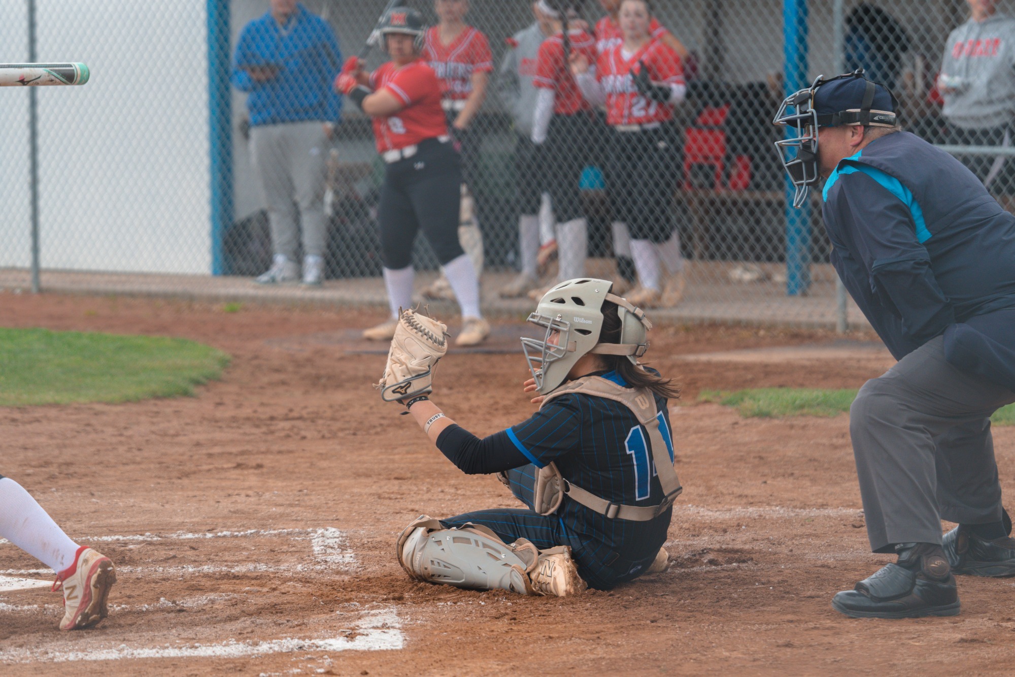 chandler - article photo