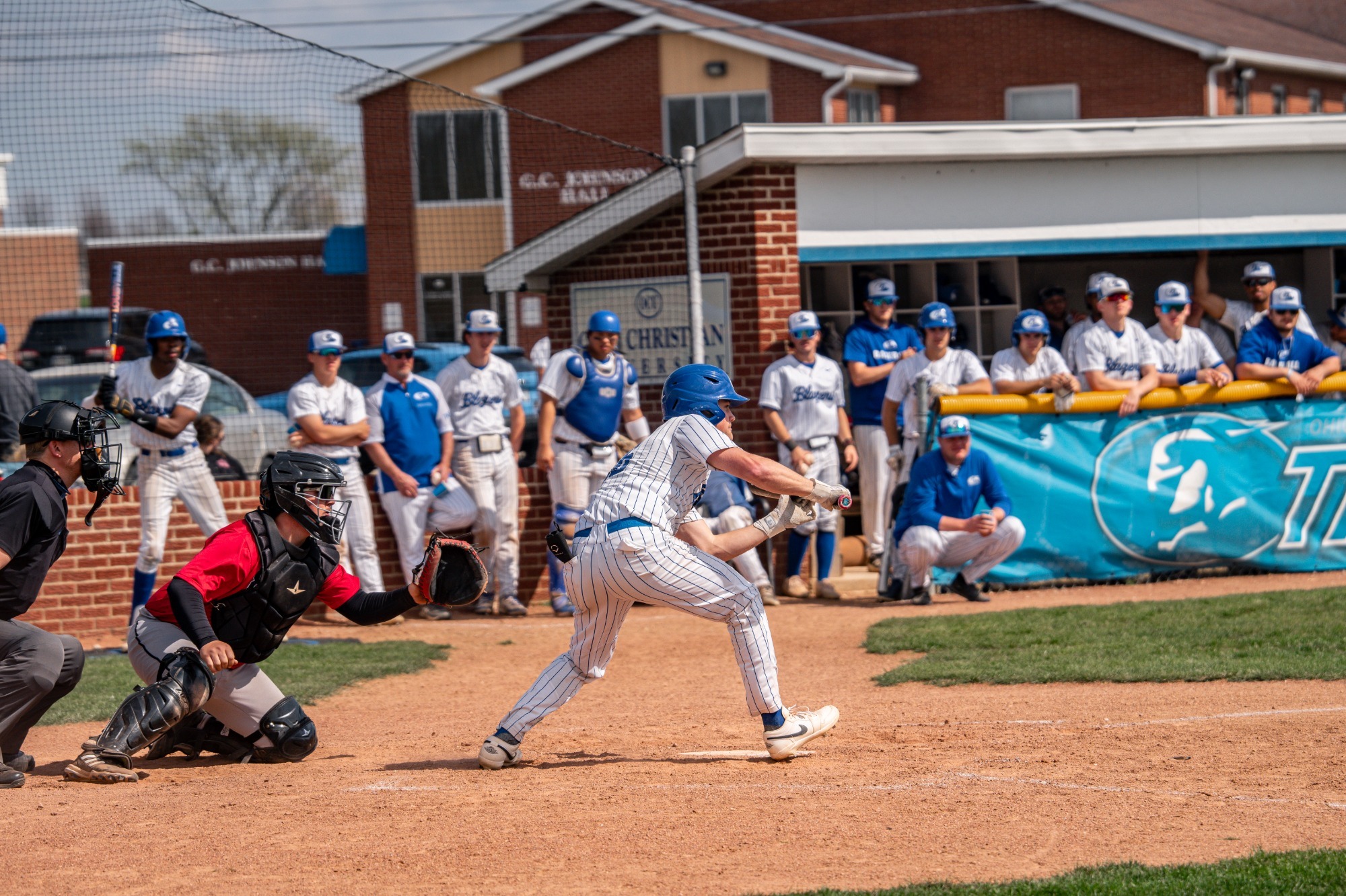 scott - article photo