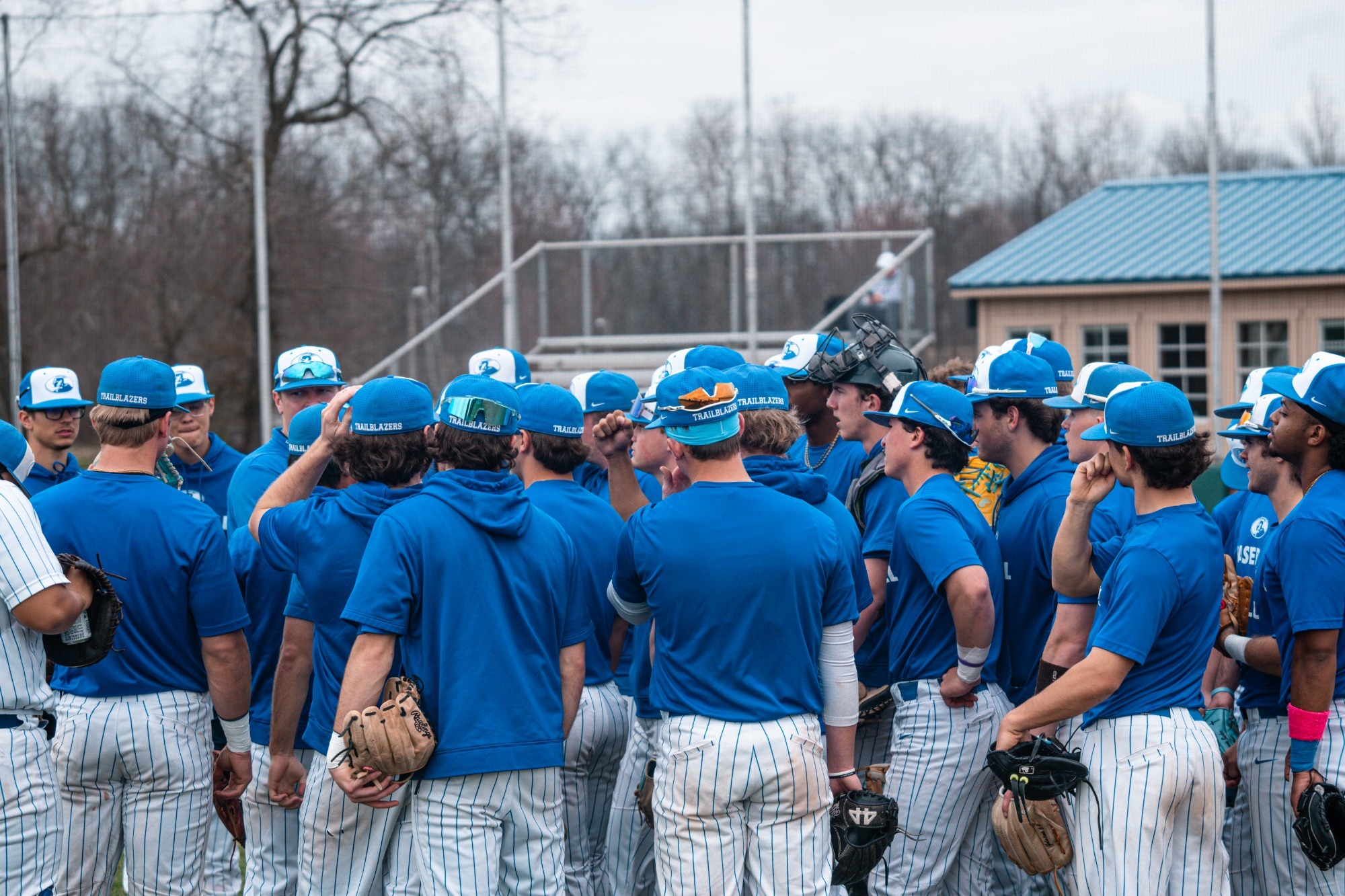baseball - article photo
