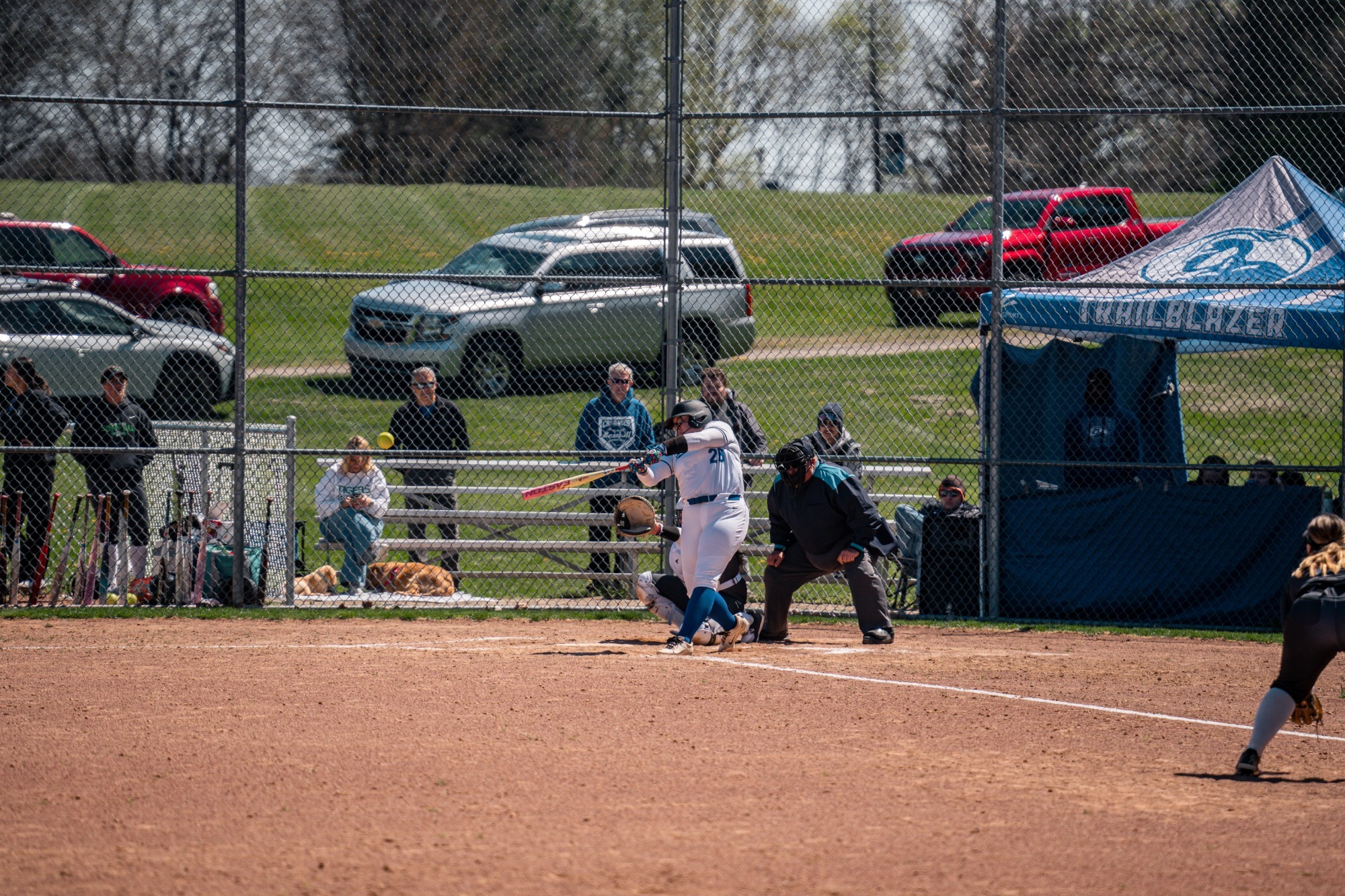 roseburrough - article photo