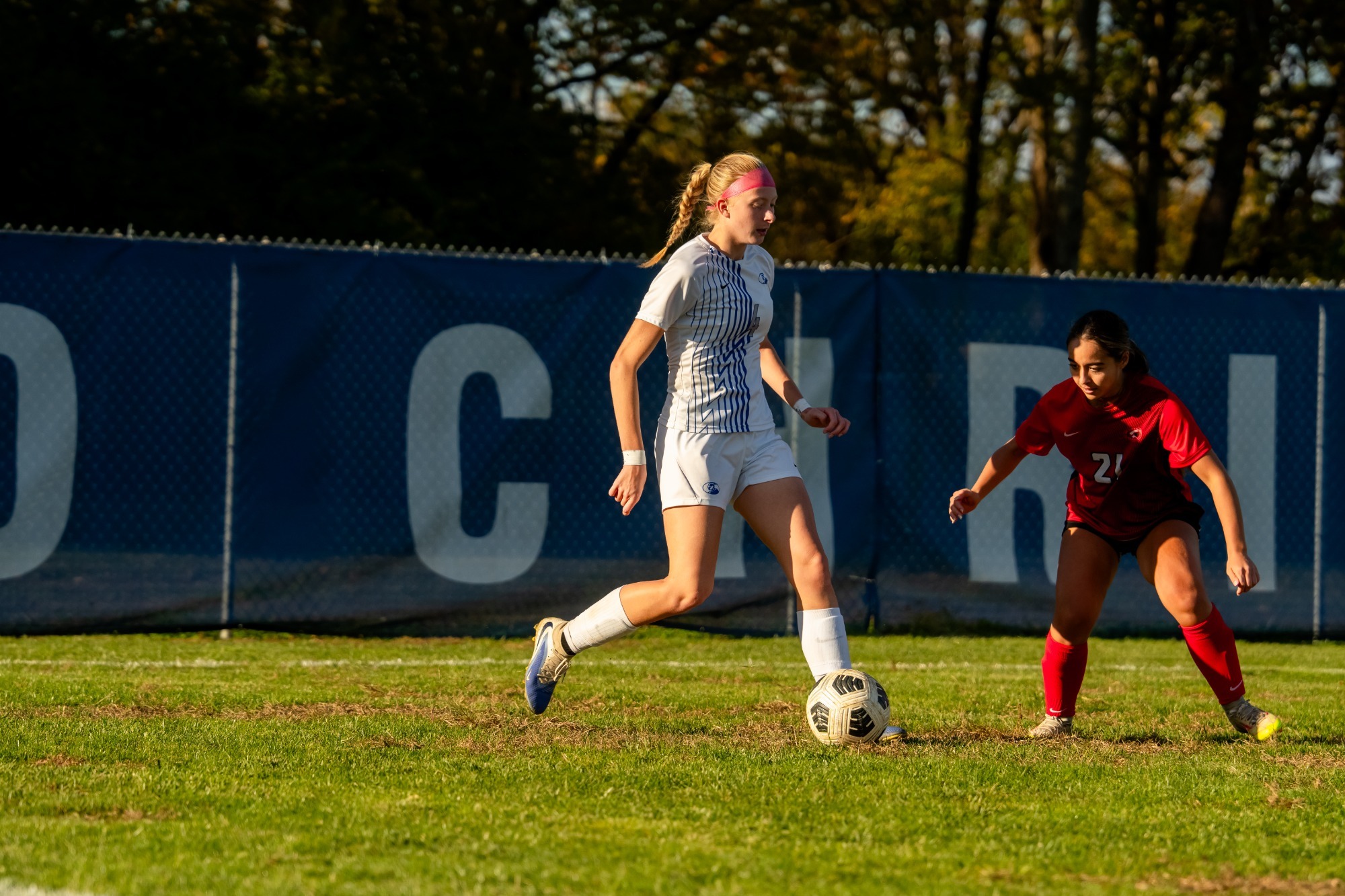 Abby - article photo