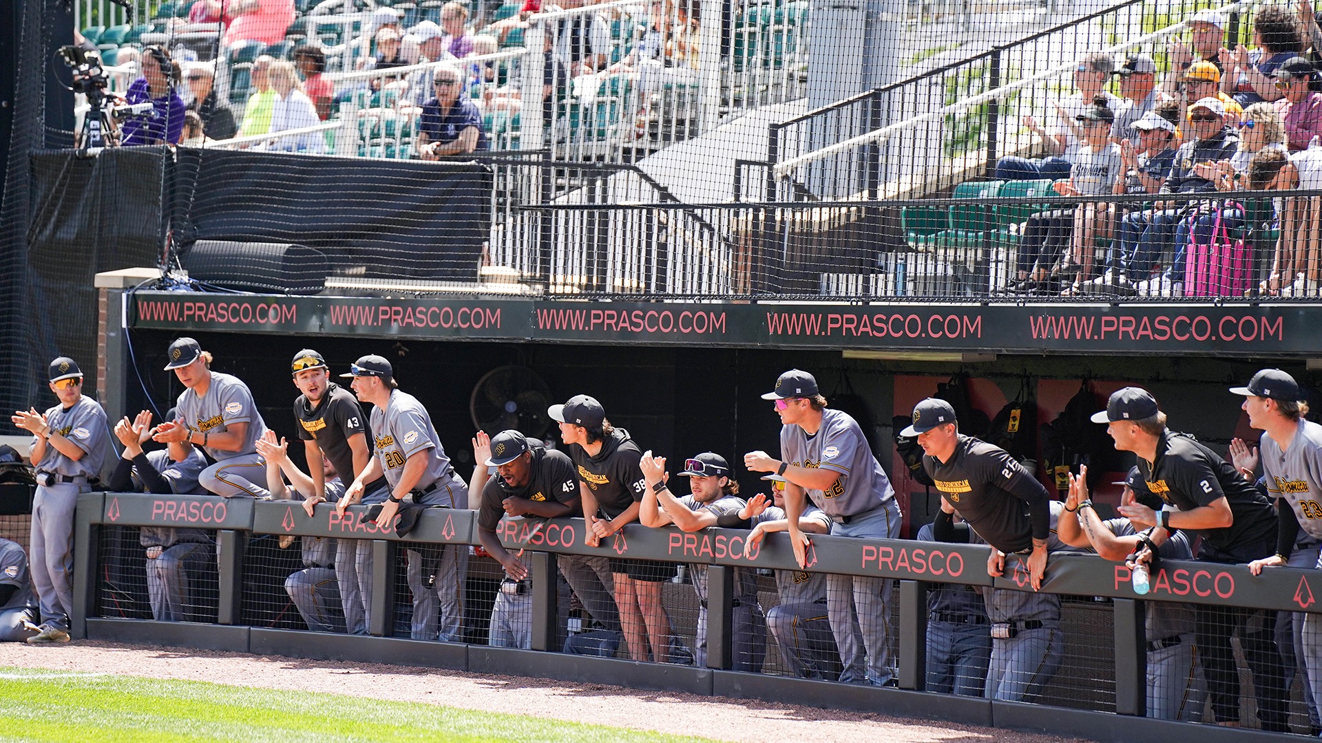 ODU Dugout - G-MAC Championship