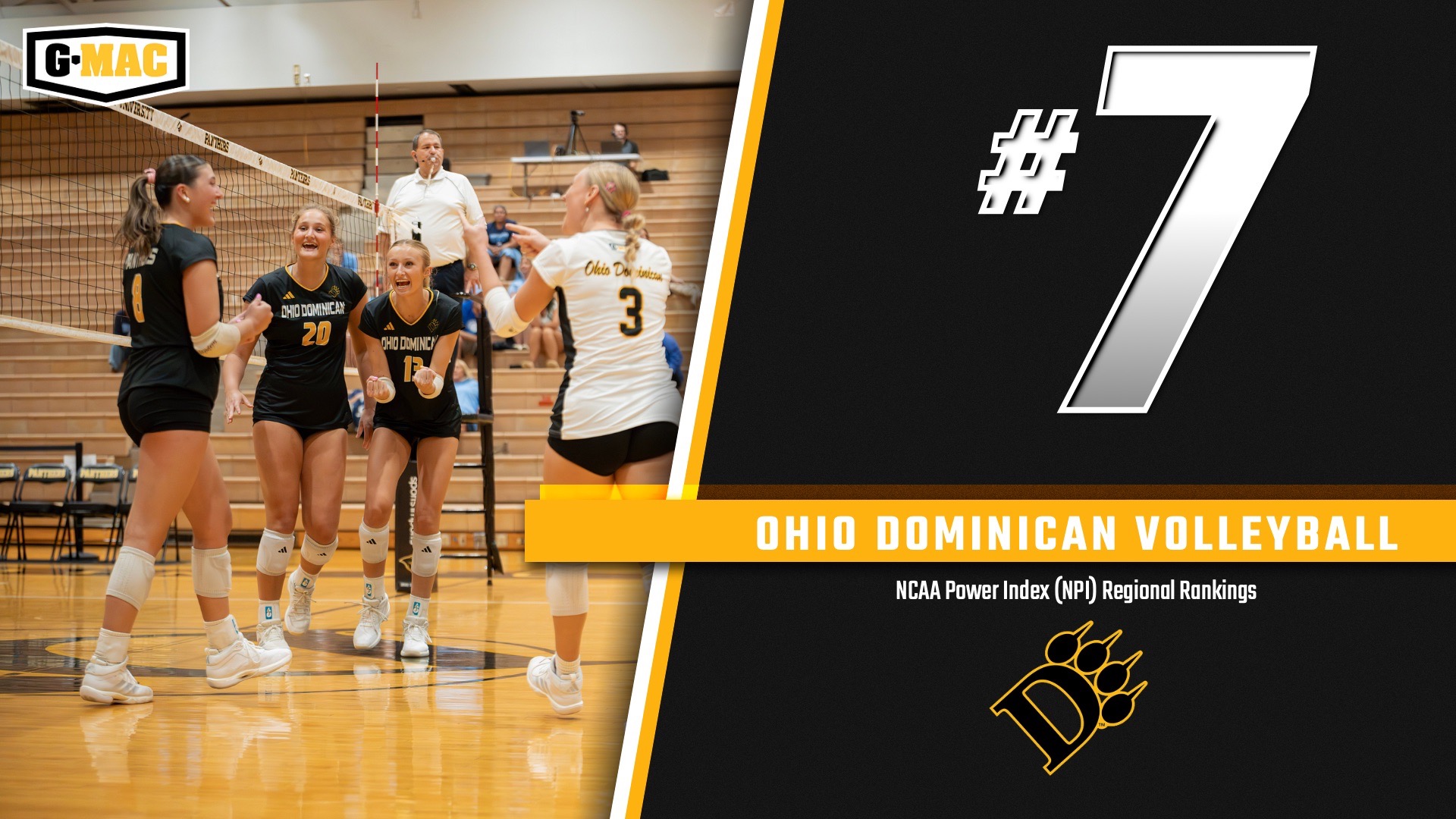 Volleyball NPI - Ranking #1