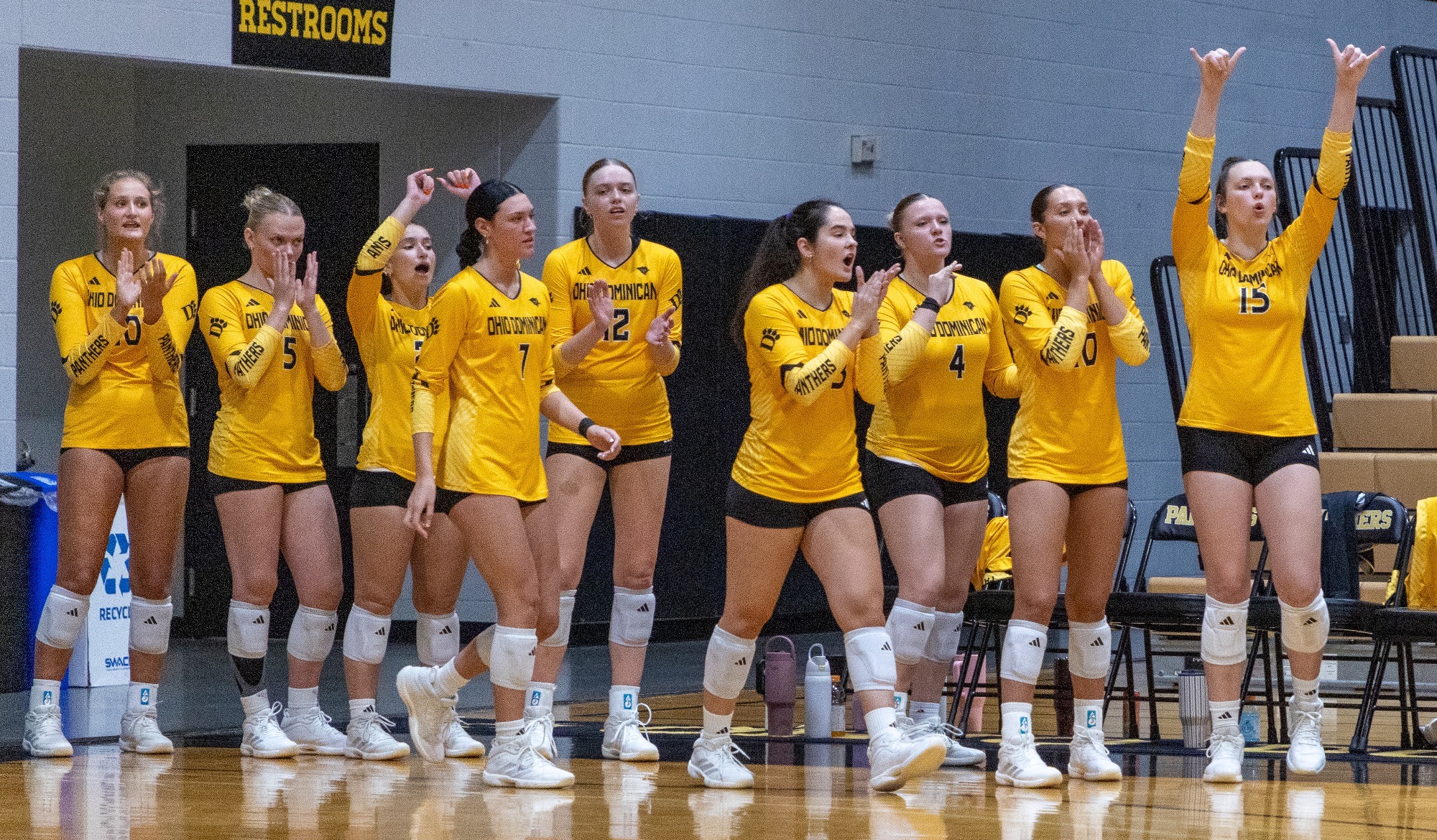 Volleyball Bench