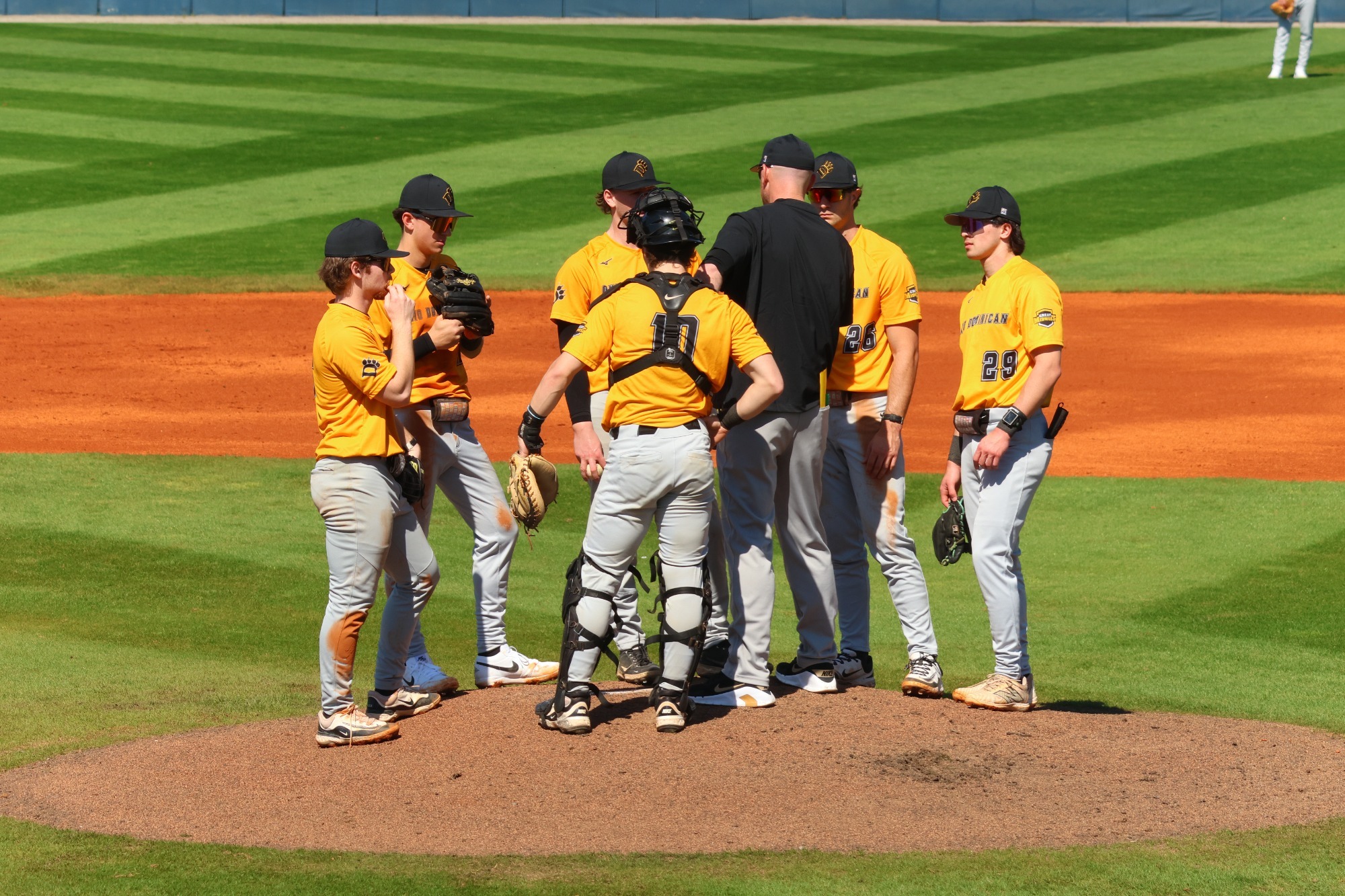 Baseball Mound Visit