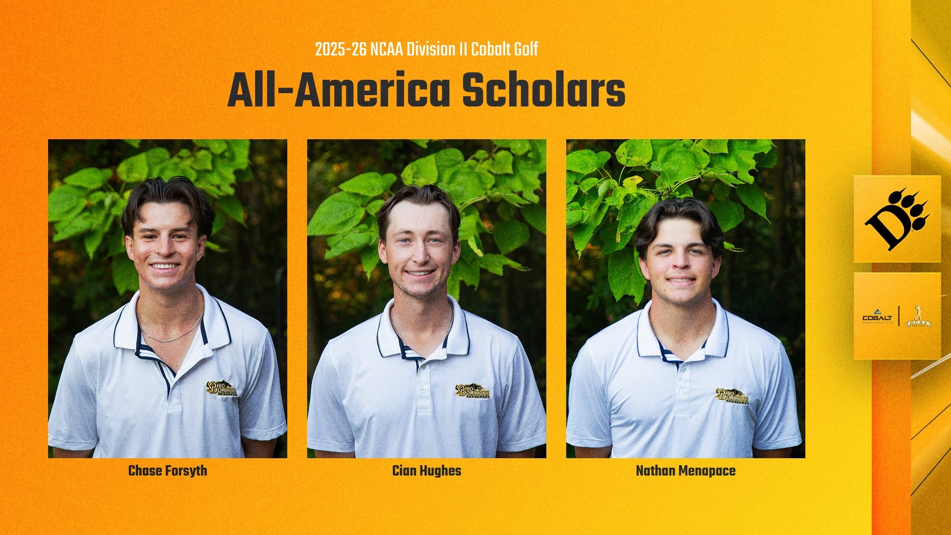 All-America Scholar Men's Golf