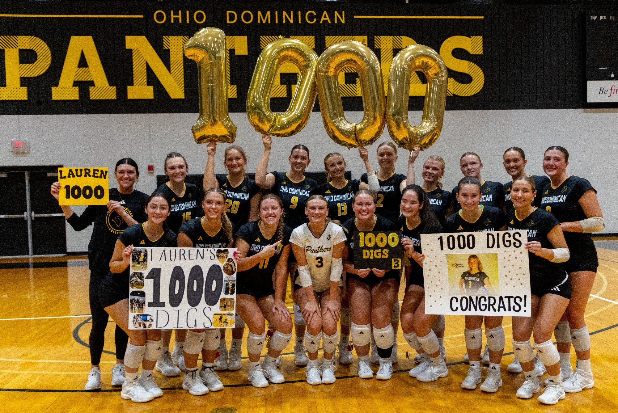 Lauren Dinunzi - 1000 Digs