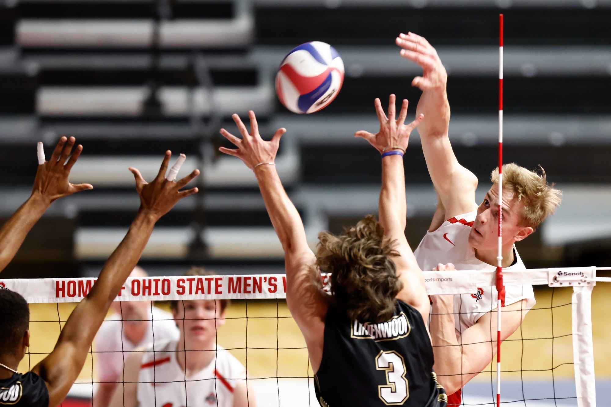 Daniel Hurley headshot