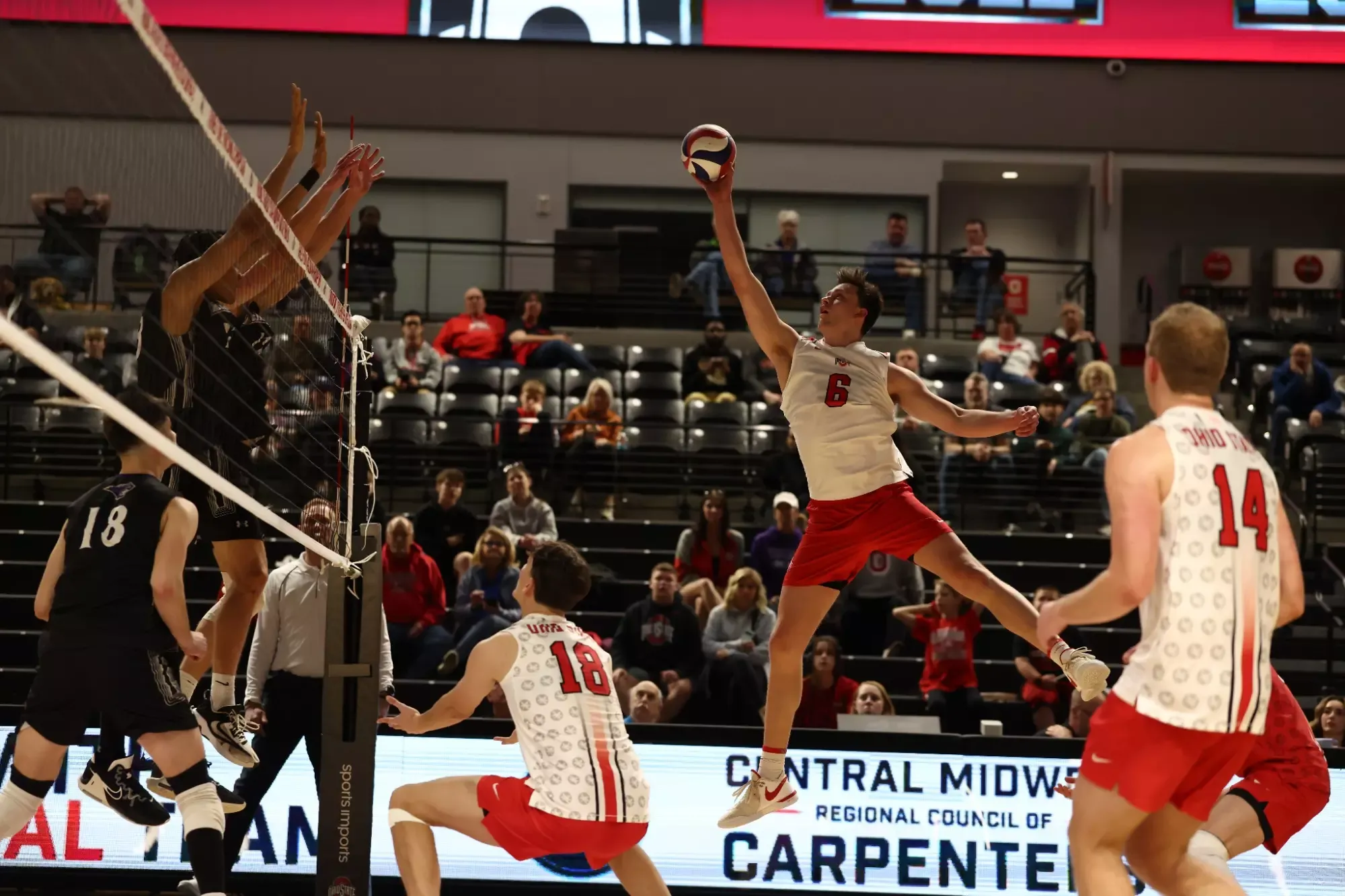 Shane Wetzel headshot