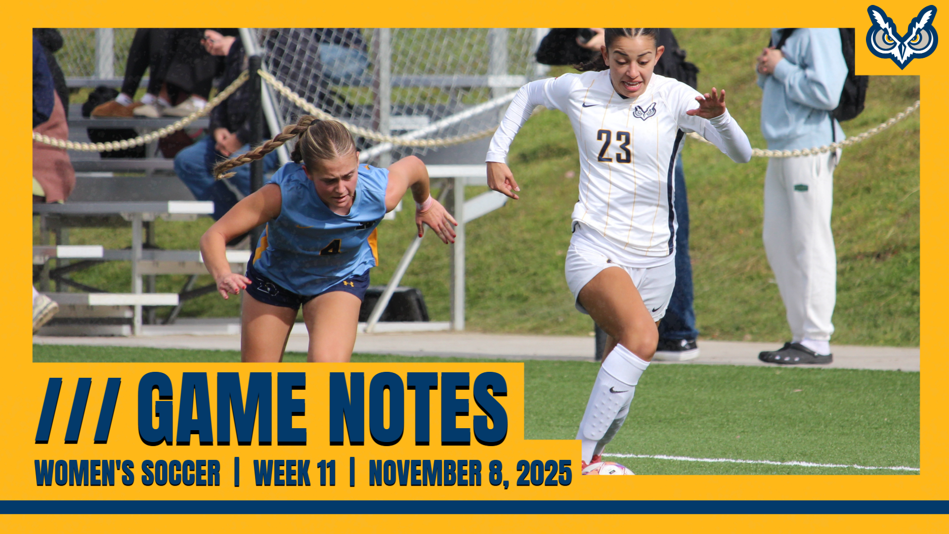 NOTES_WSOC_25_Week11