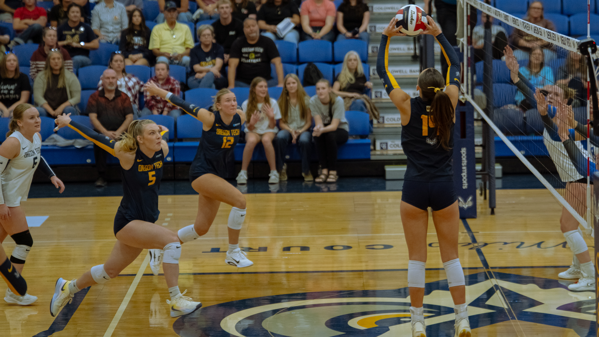 Volleyball Attack