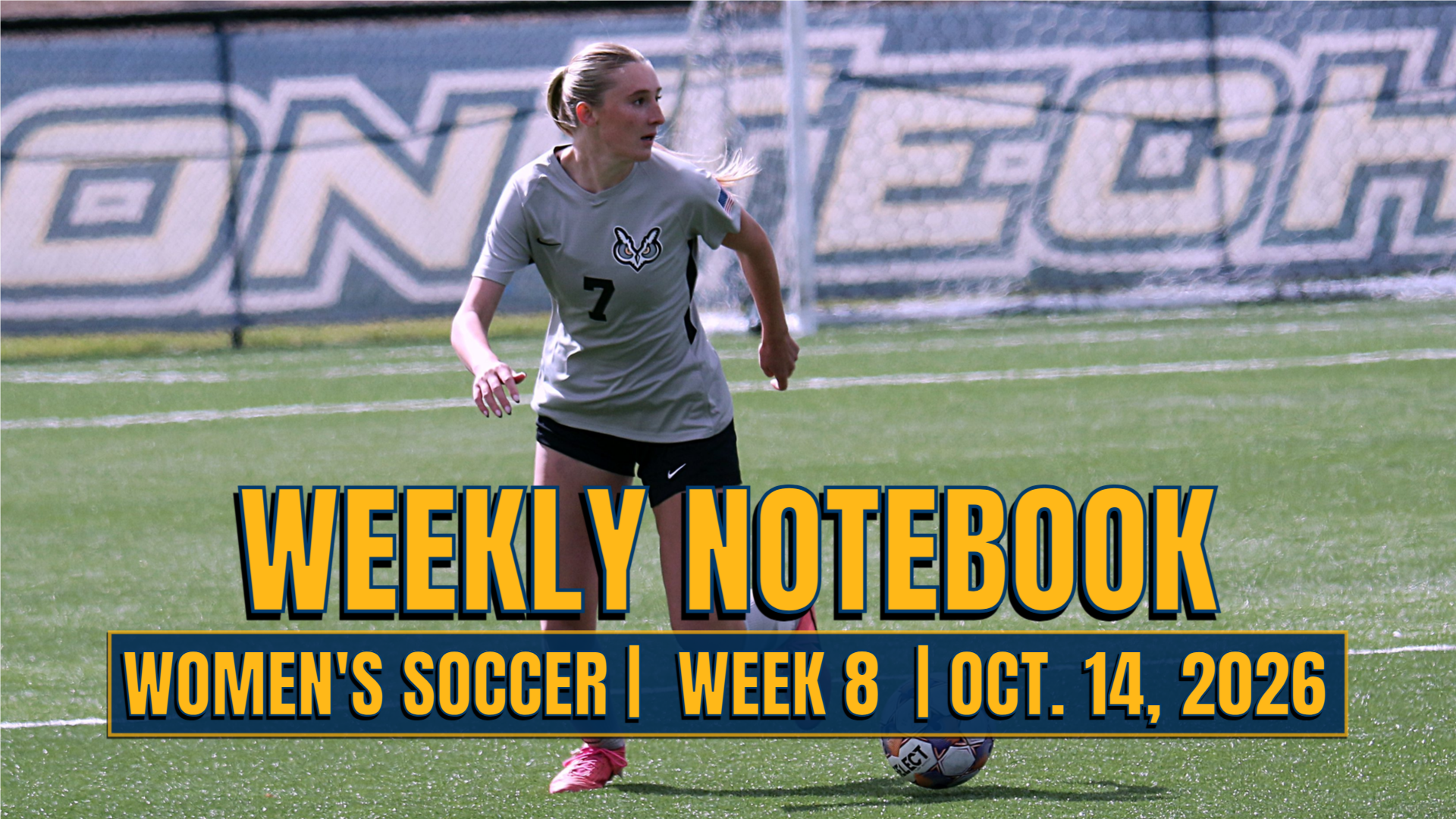 NOTES_WSOC_26_Week8