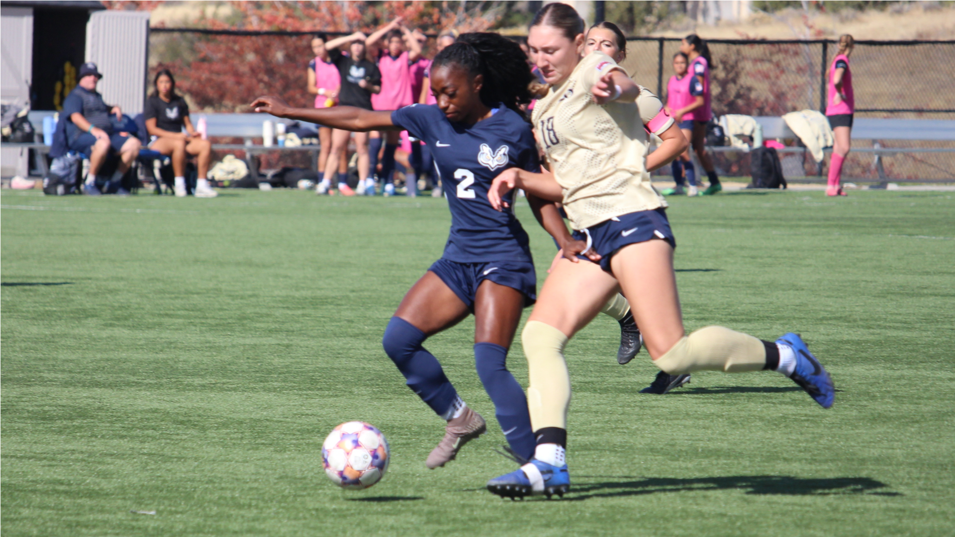 Bradley soccer