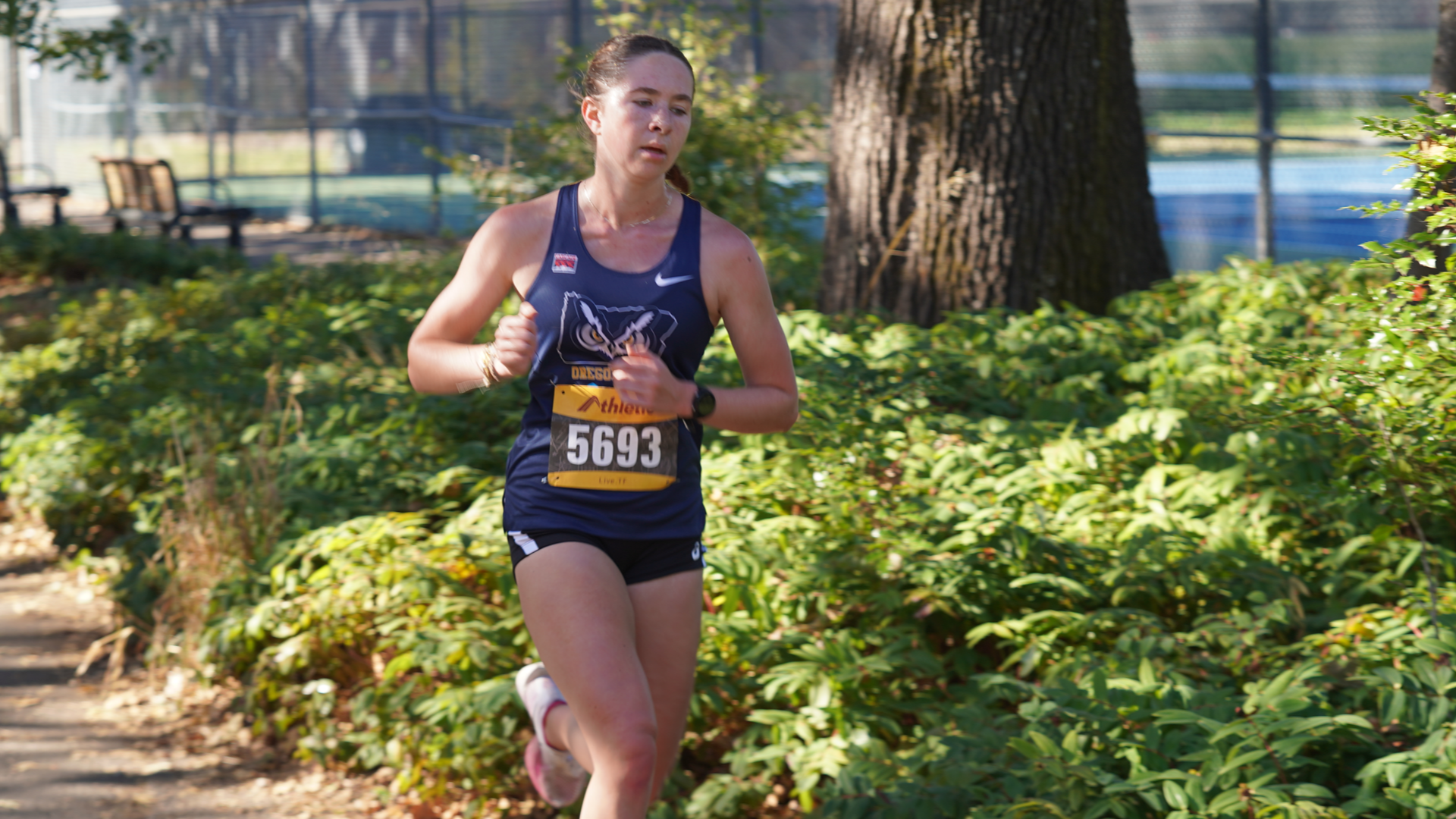 Runner in woods