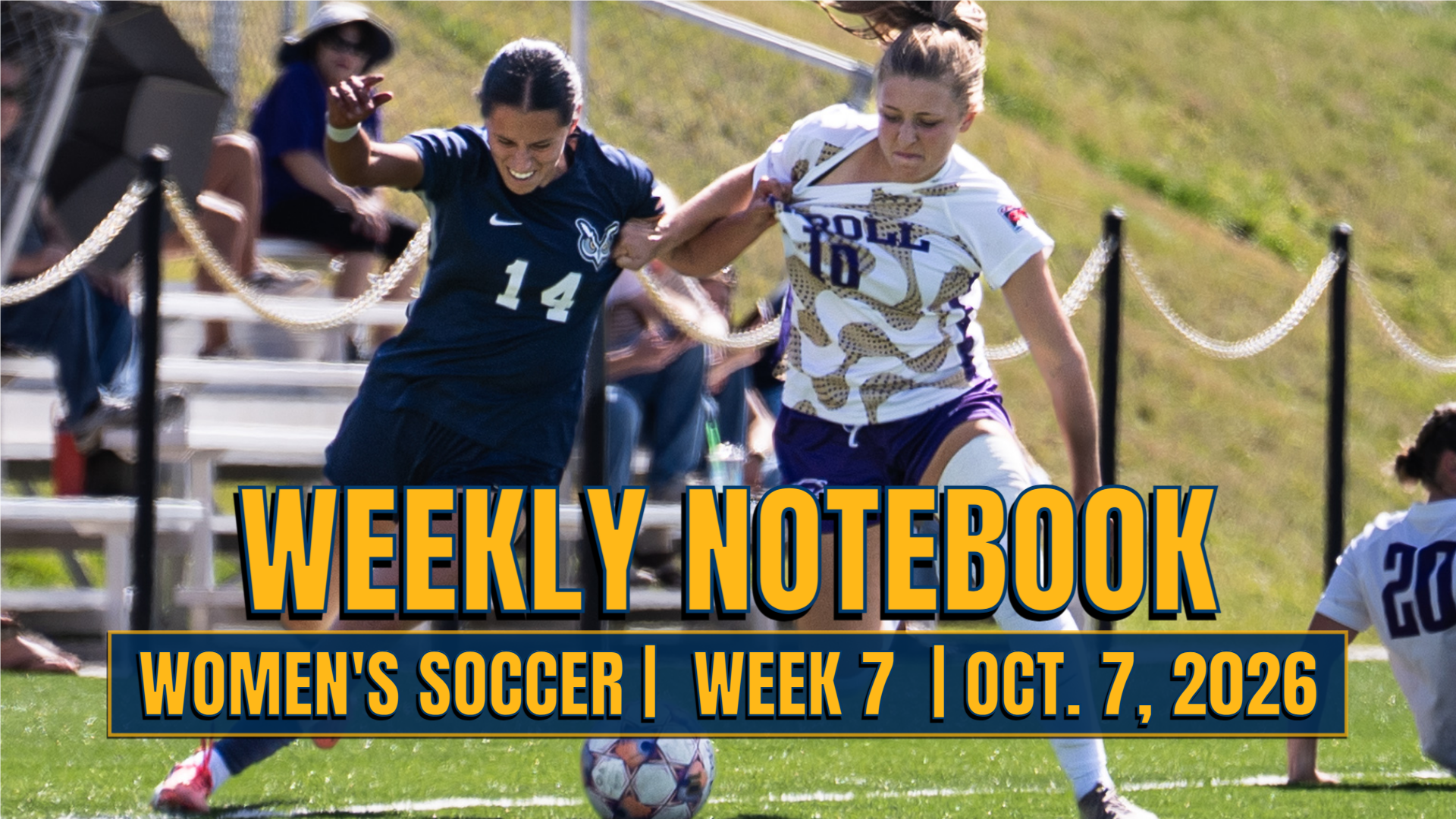 NOTES_WSOC_26_Week7