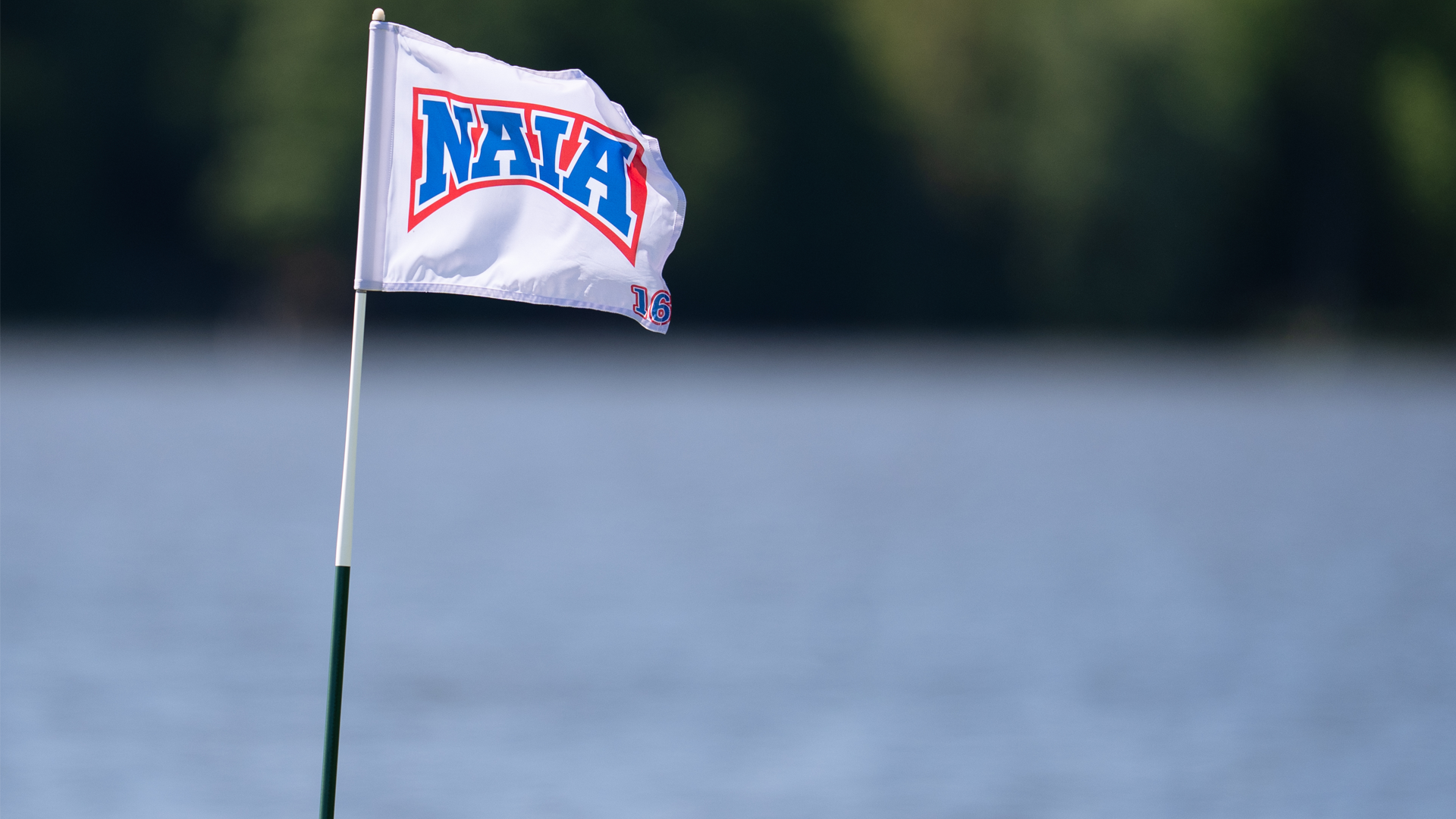 NAIA_Golf_Flag