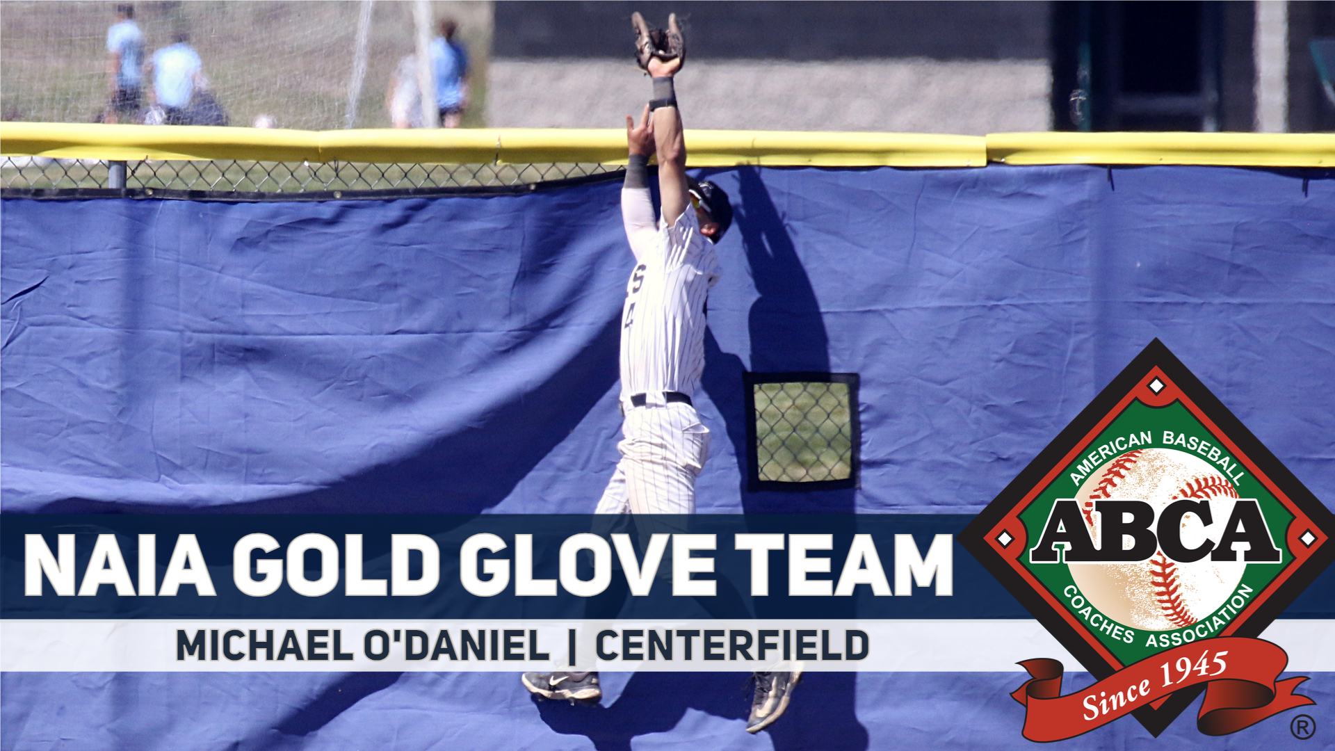 Michael O'Daniel ABCA Gold Glove