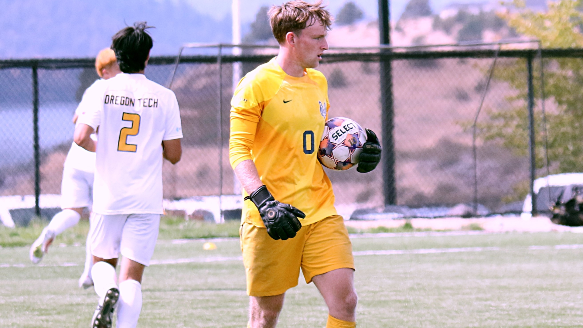 Harwood_GK