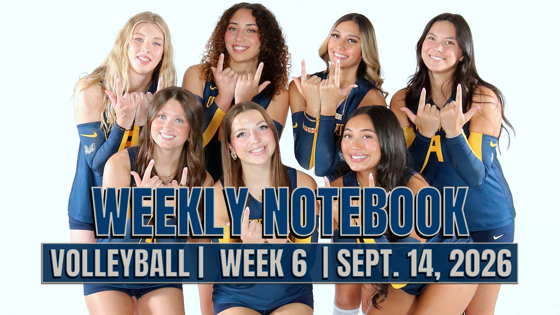 Volleyball Notes Week 6