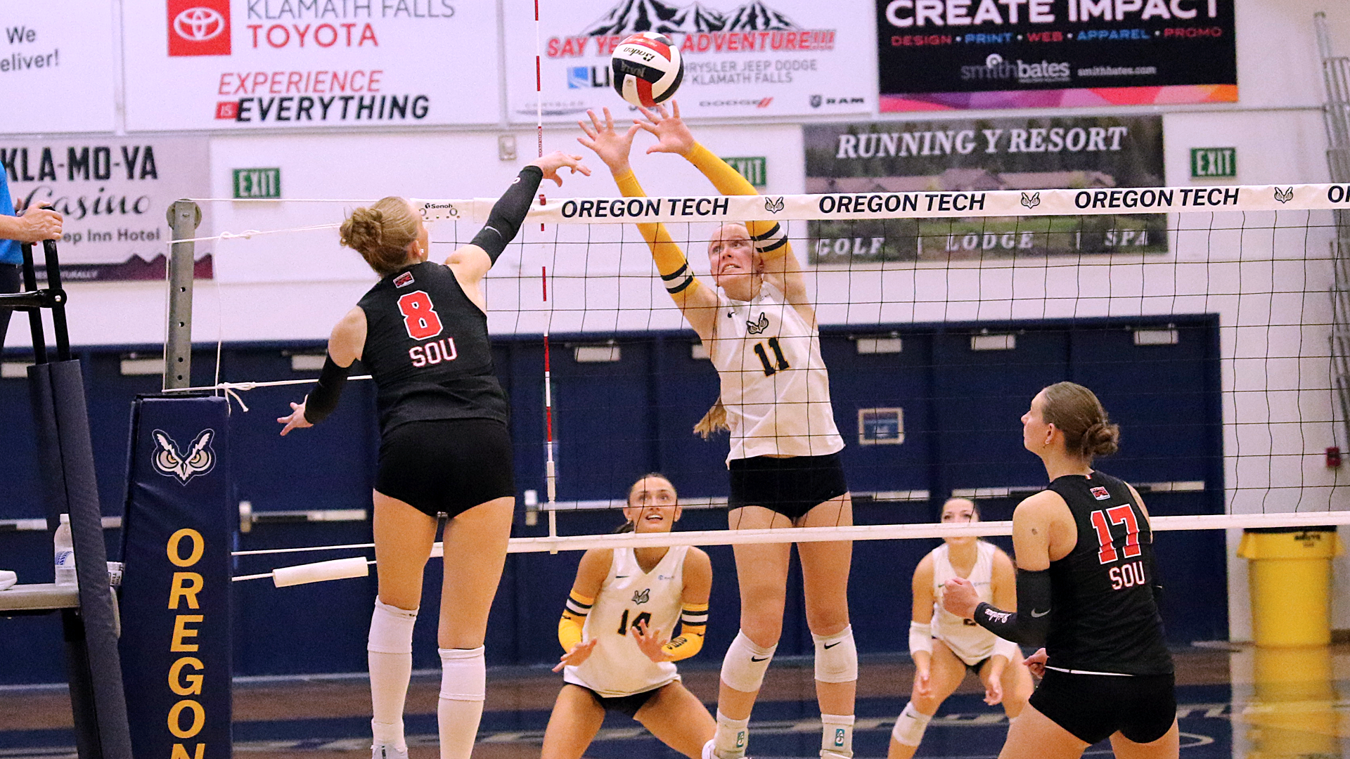 Volleyball Blocking Pic