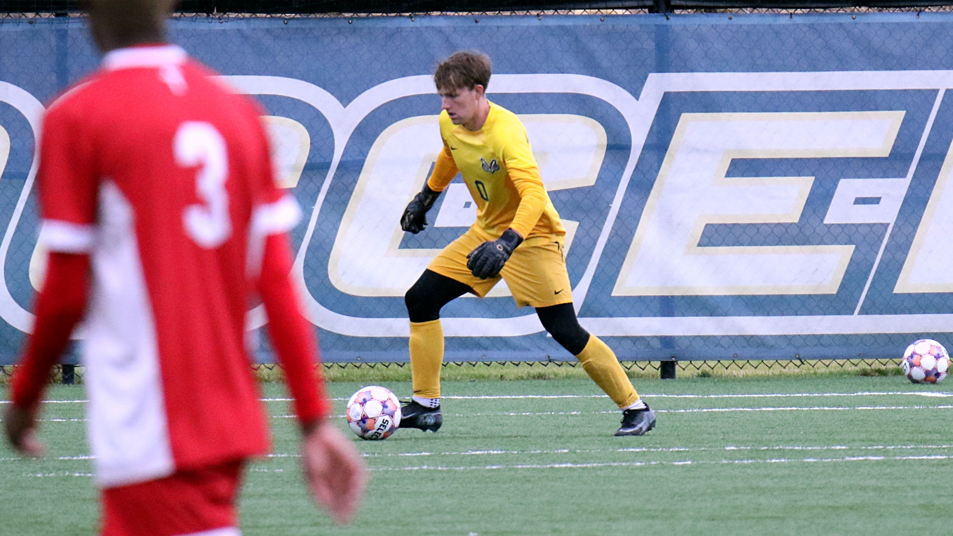 Goalie kicking a ball
