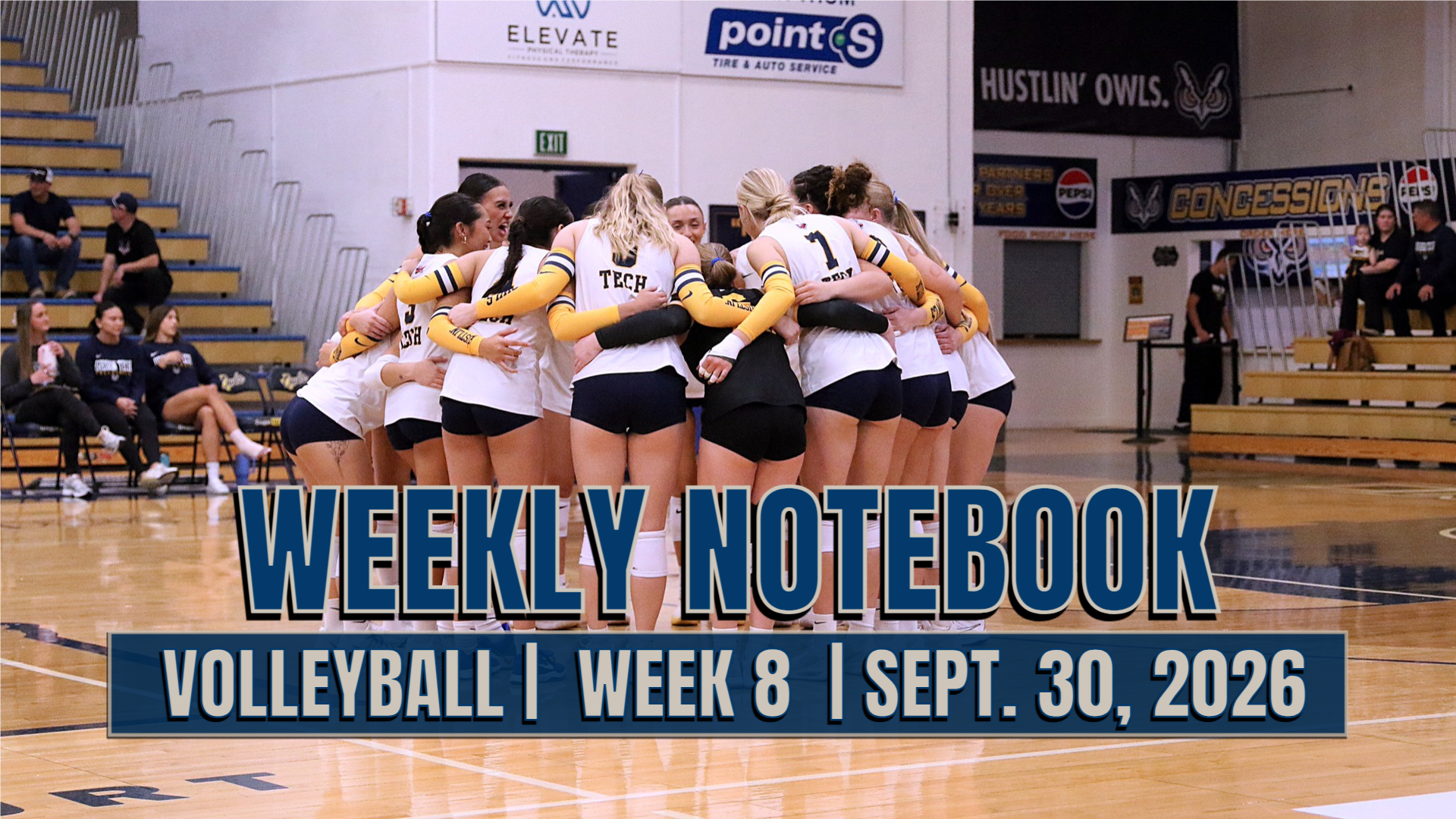Week 8 Volleyball Notes