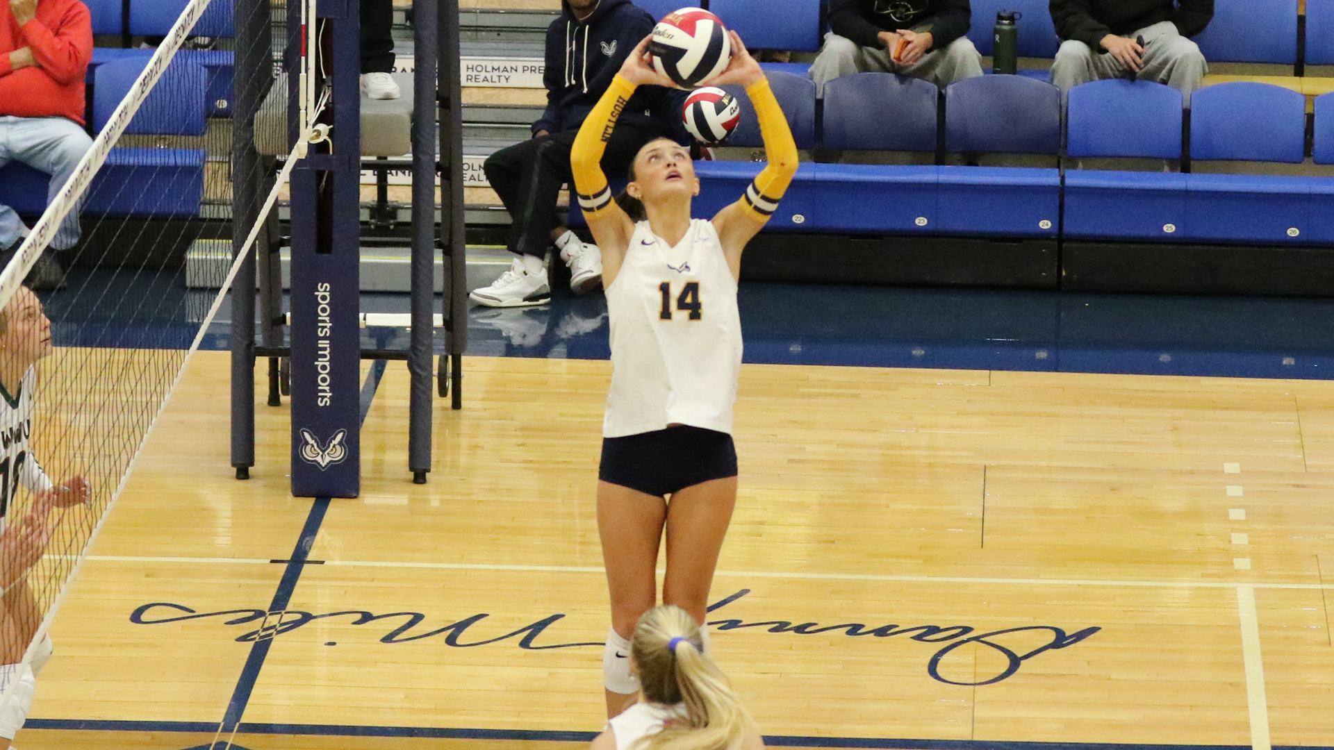 Volleyball setter setting