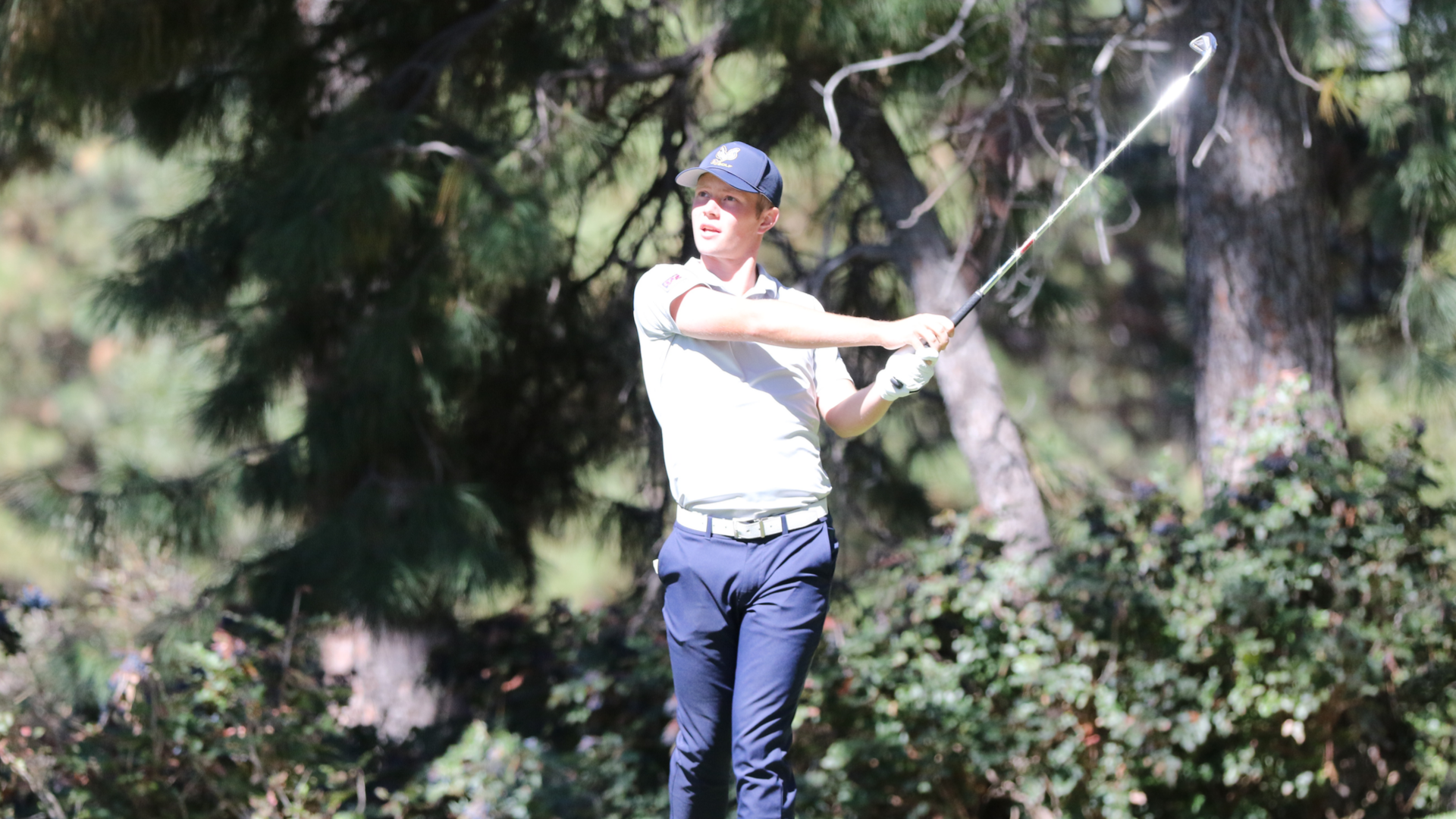 Massimo - golf drive