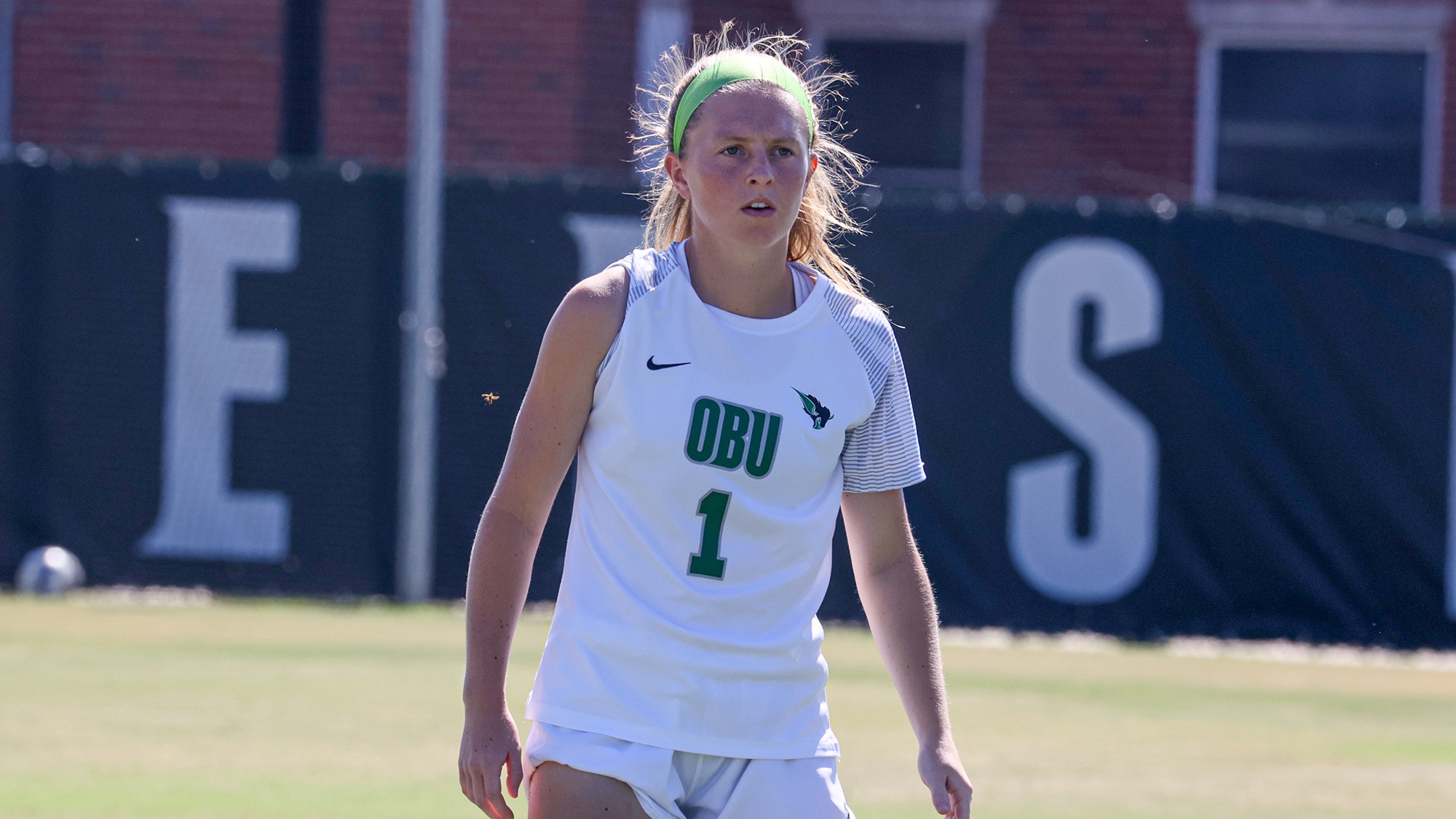 Lex-Williamson-All-GAC