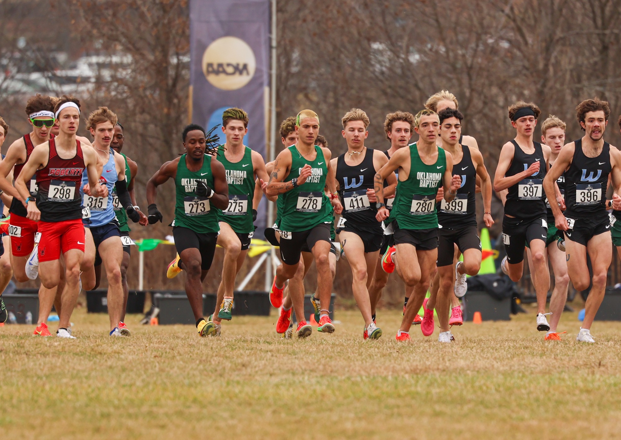 NCAA Cross Country 